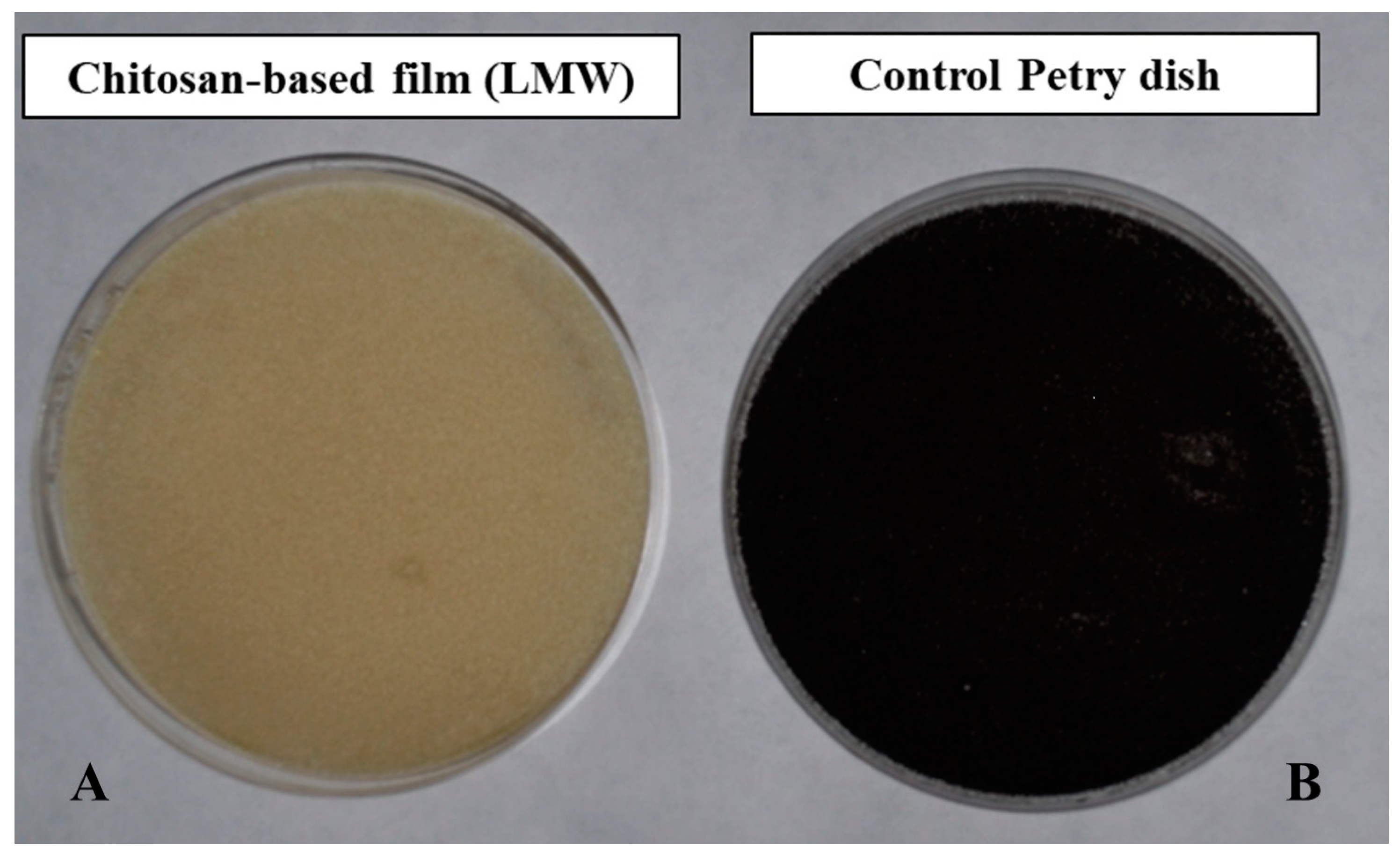 Separations 11 00159 g006