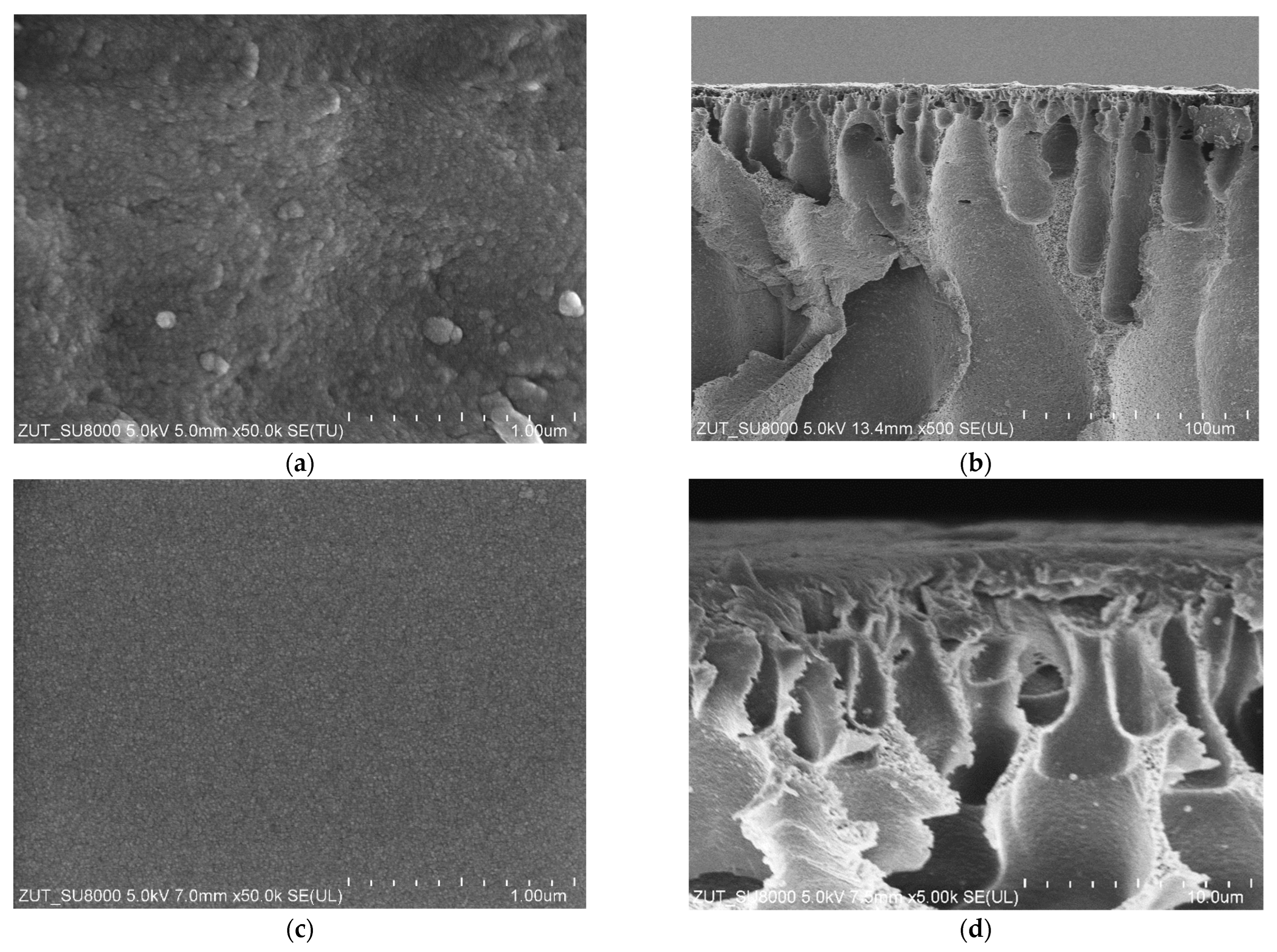 Separations 11 00164 g002