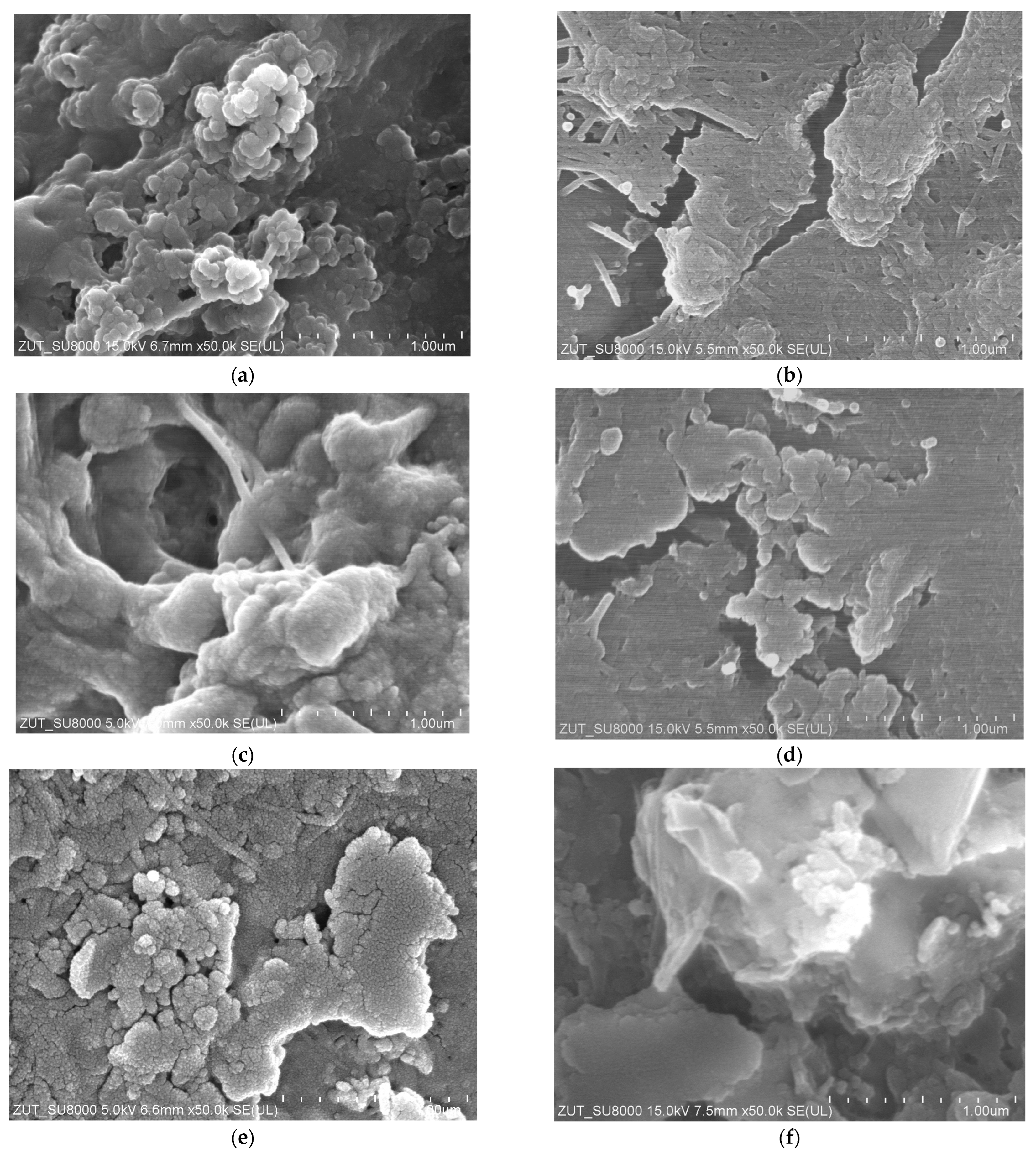 Separations 11 00164 g019