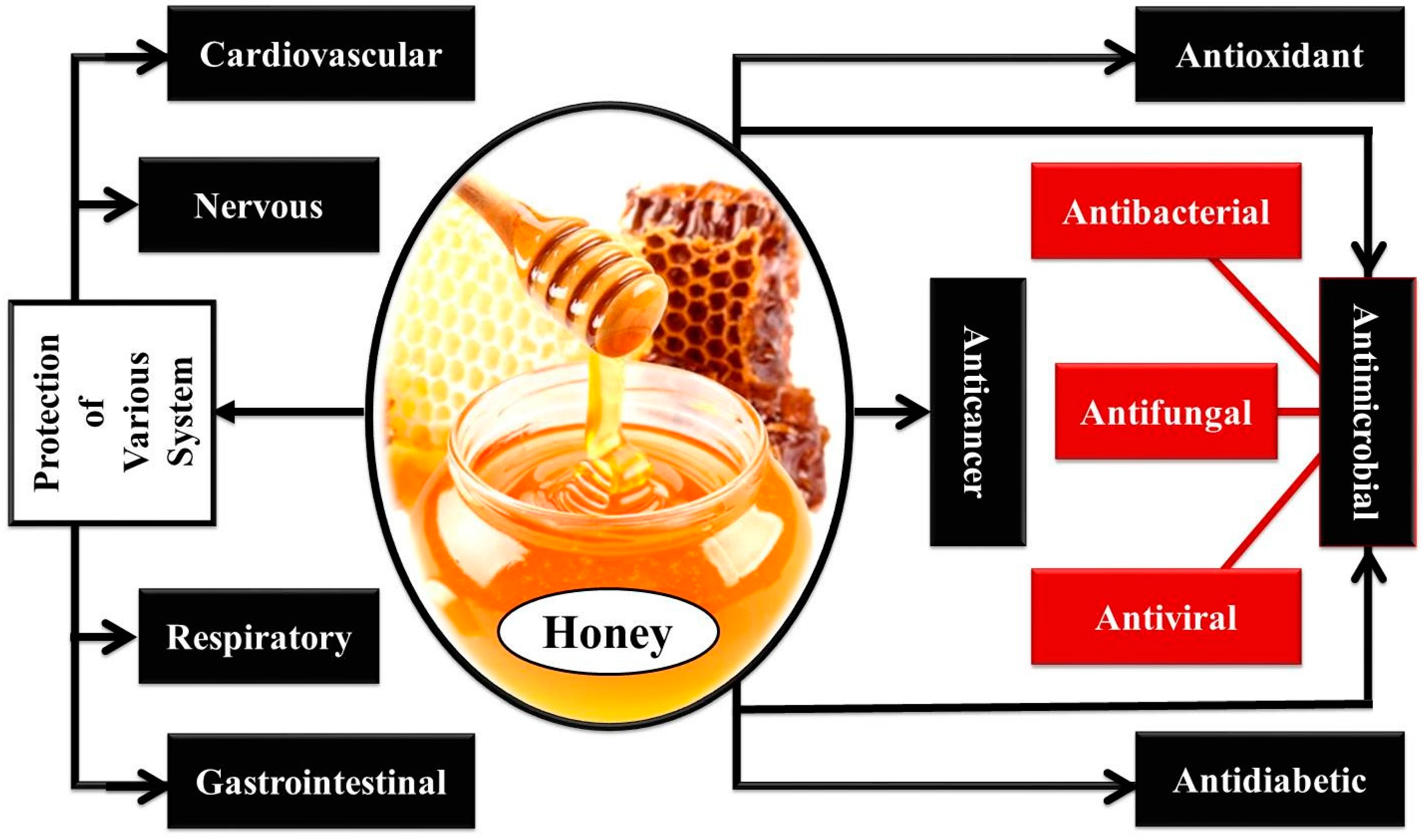 Separations 11 00166 g001