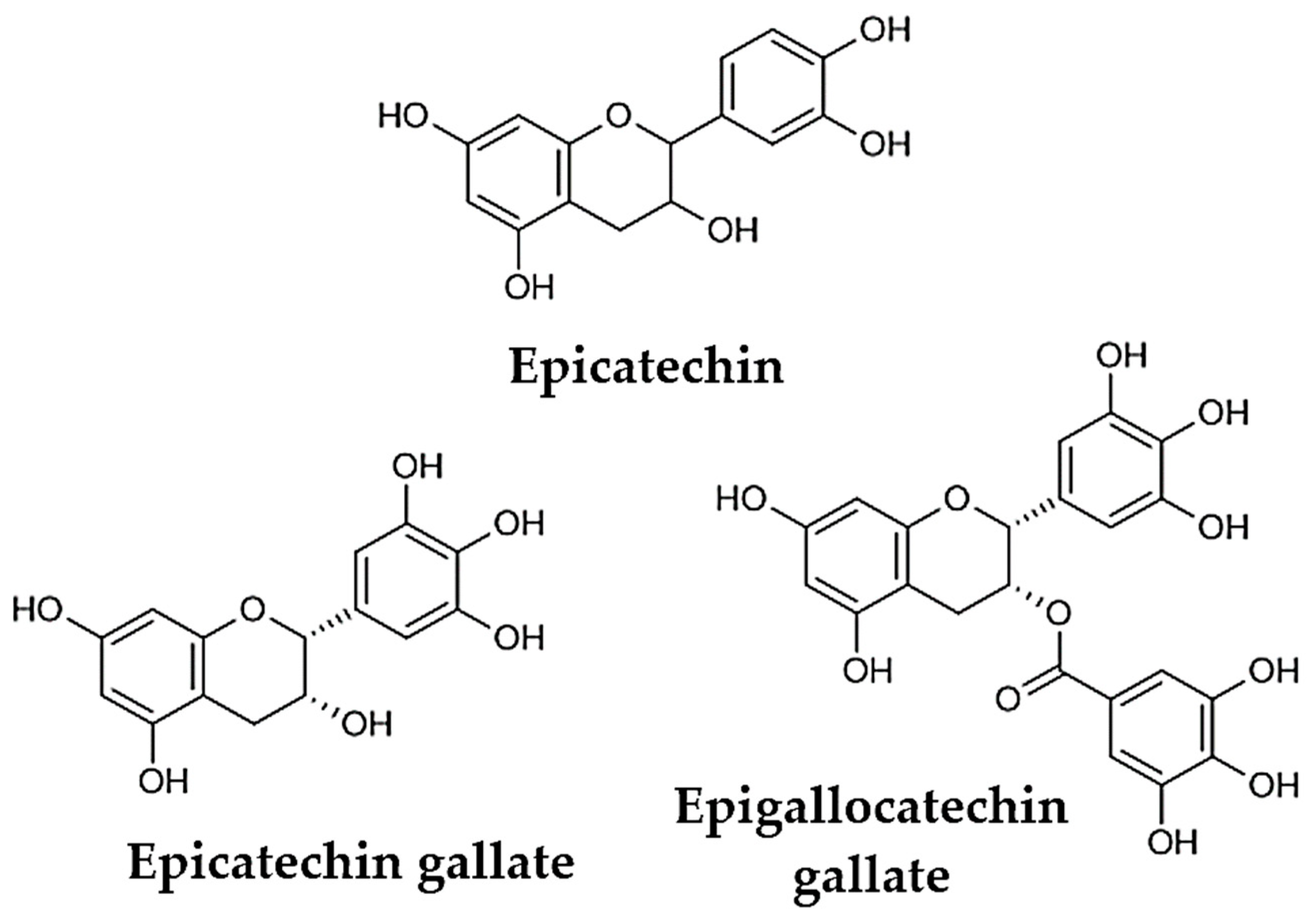 Separations 11 00171 g001