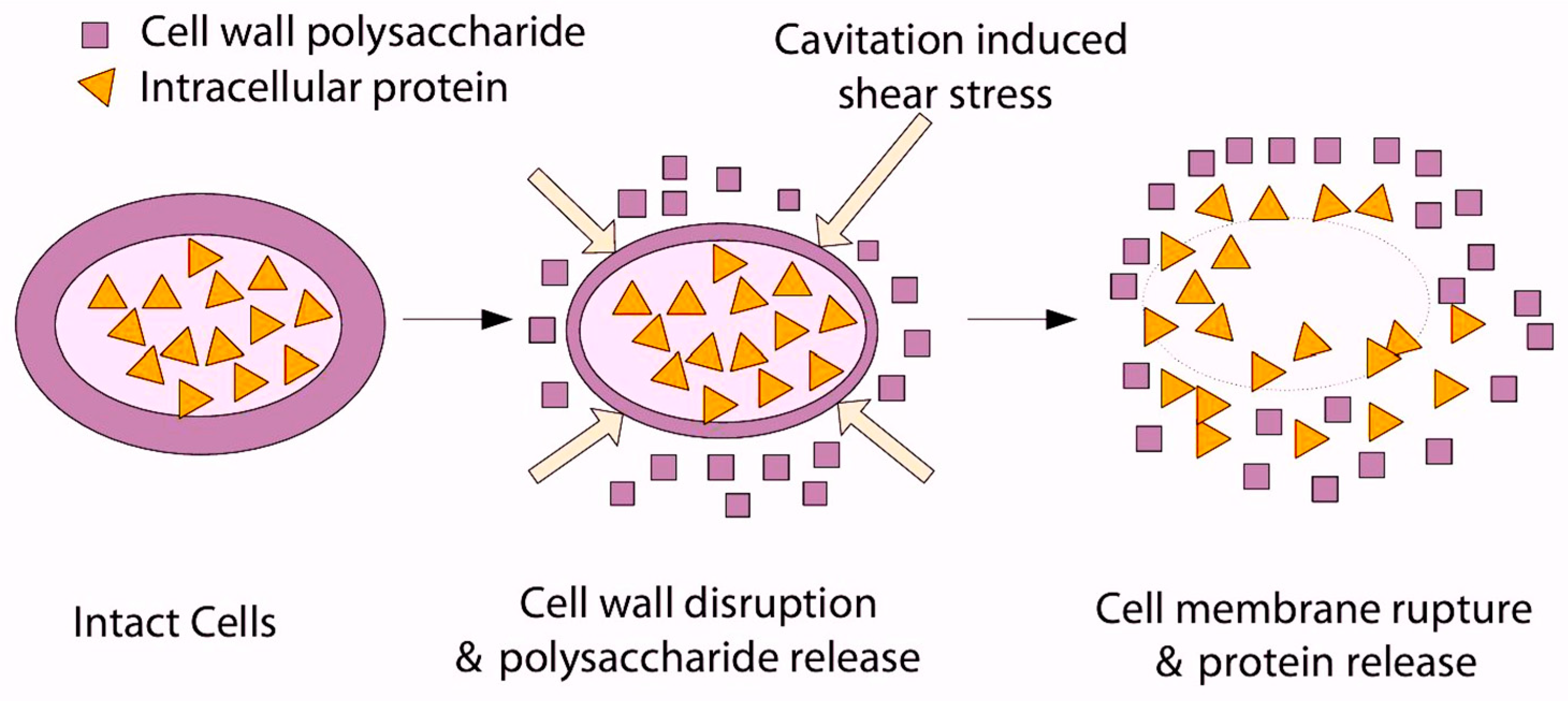 Separations 11 00186 g003
