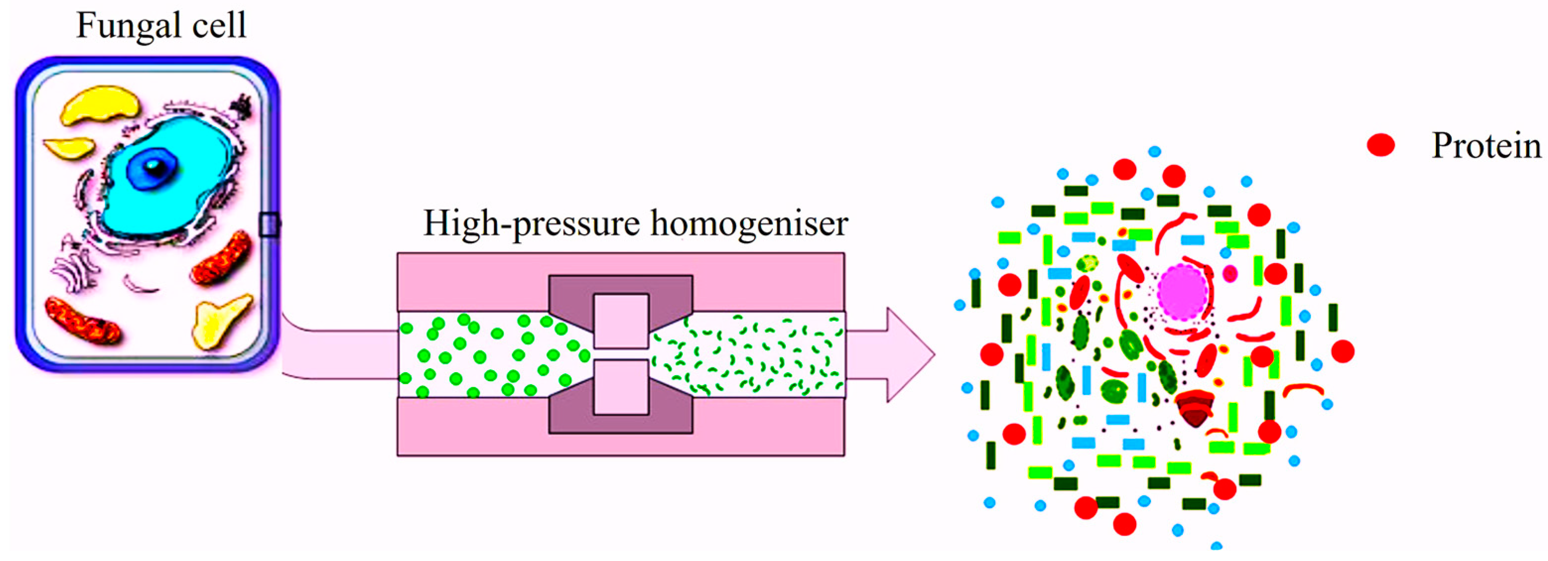 Separations 11 00186 g004