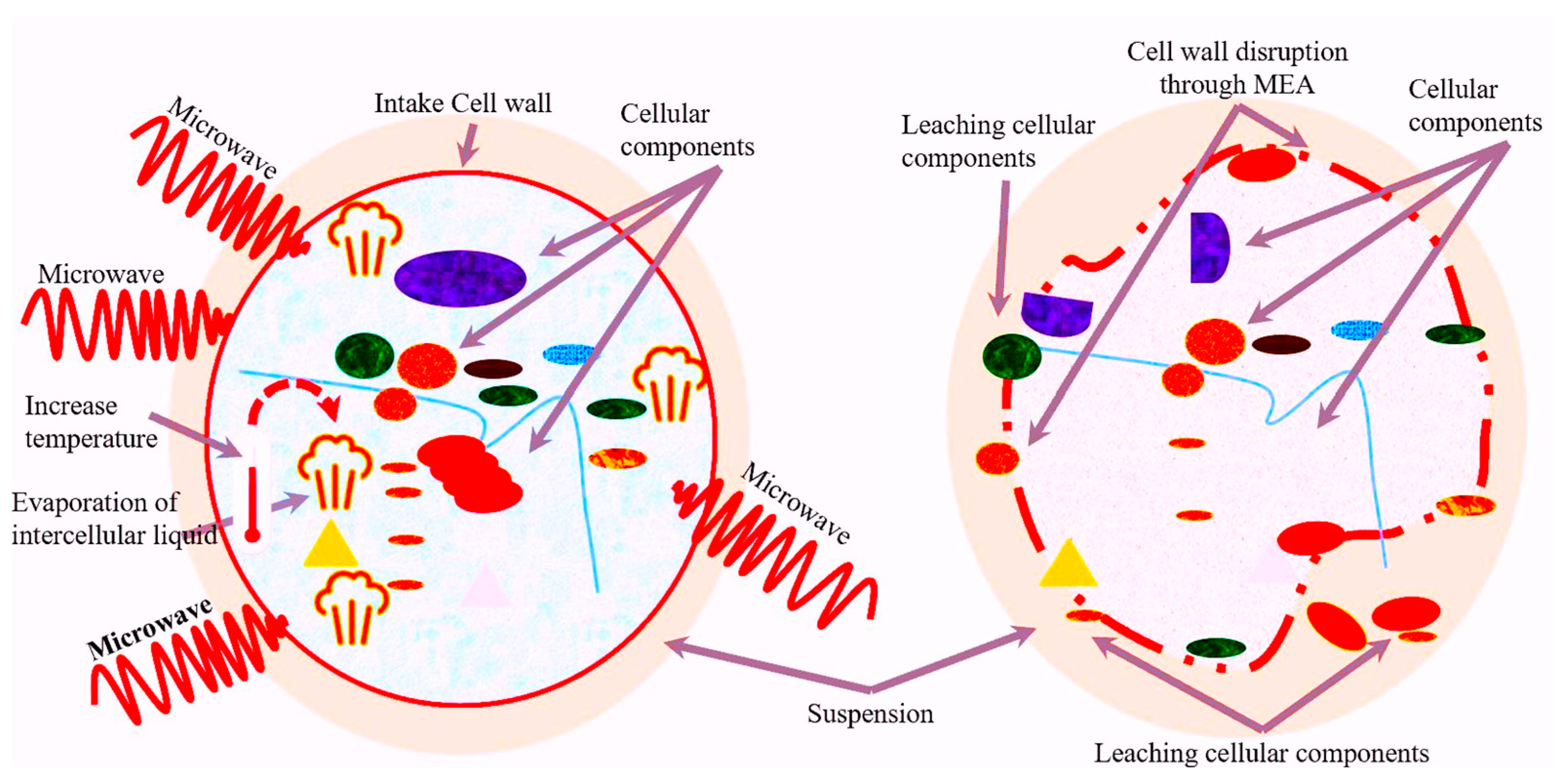Separations 11 00186 g006