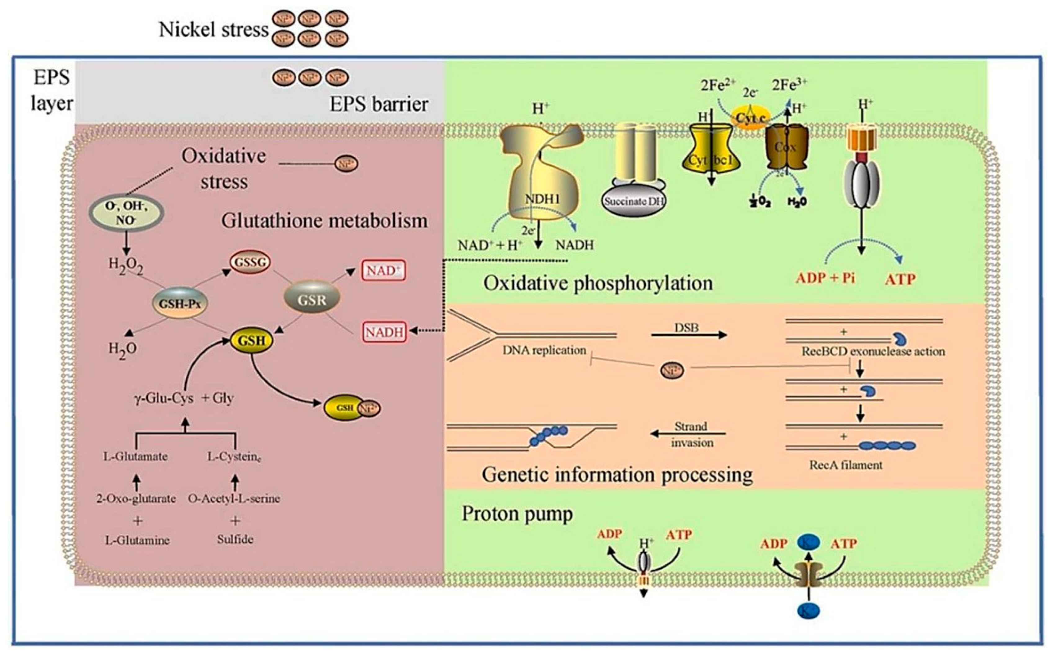 Separations 11 00196 g010