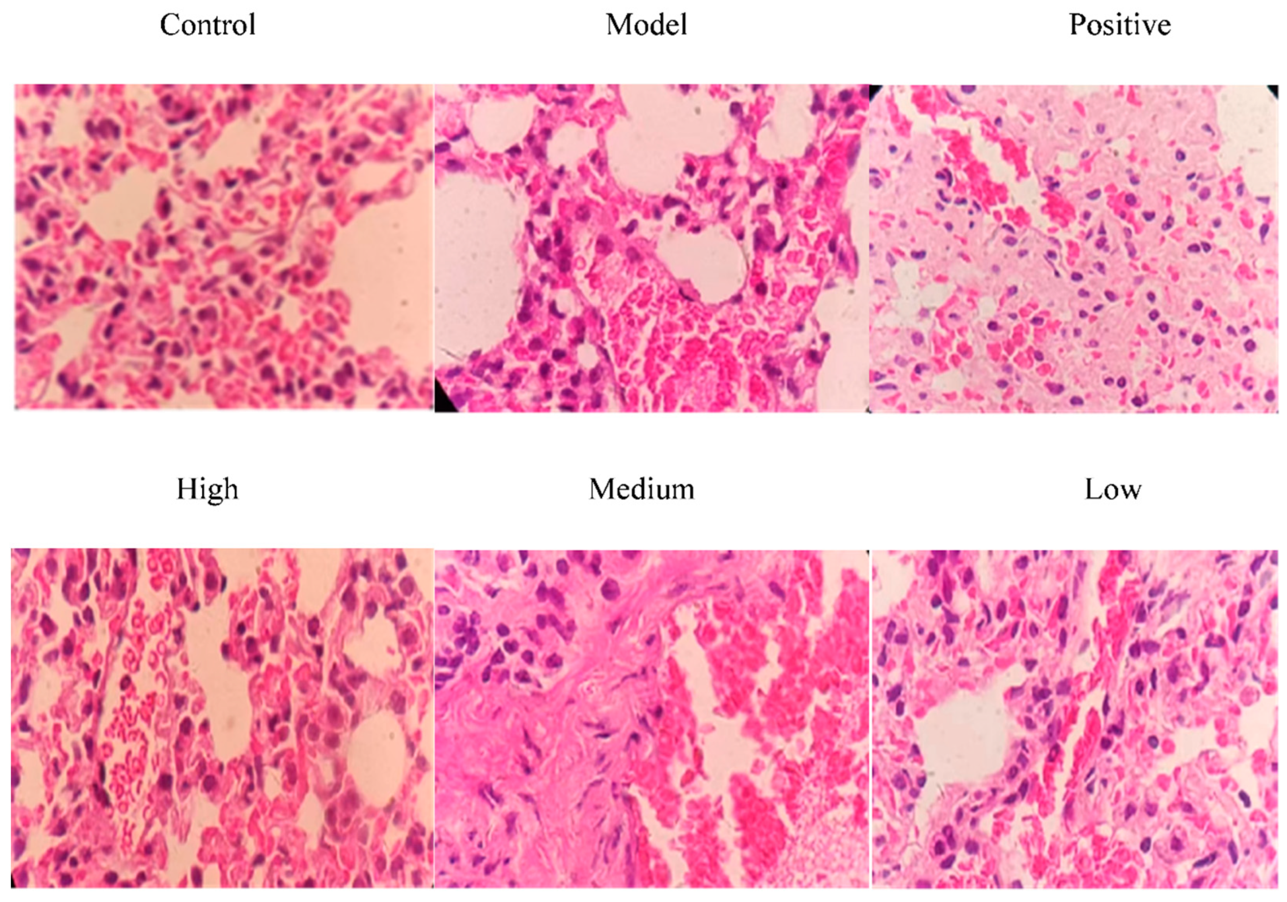 Separations 11 00210 g009