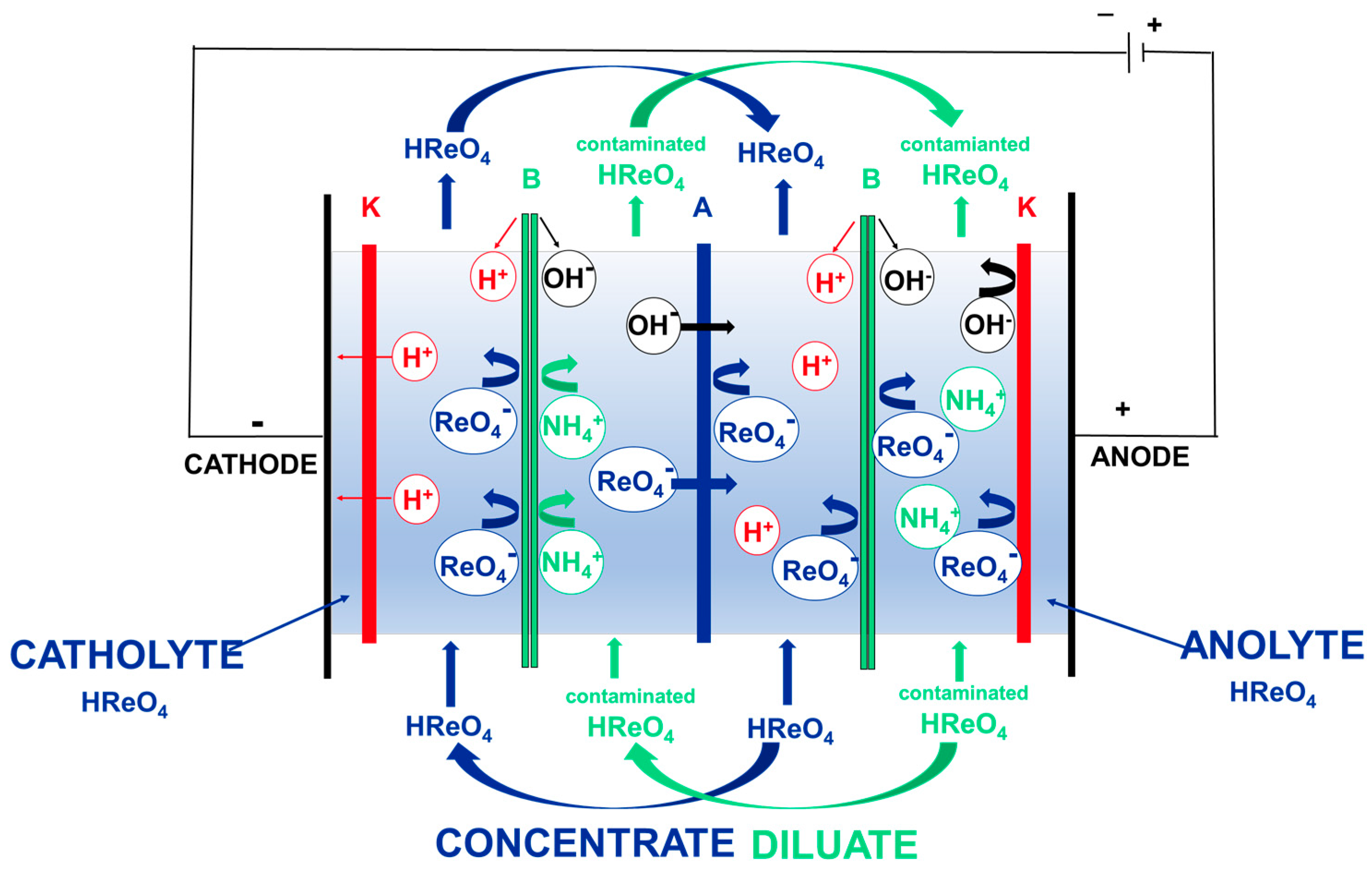 Separations 11 00225 g008