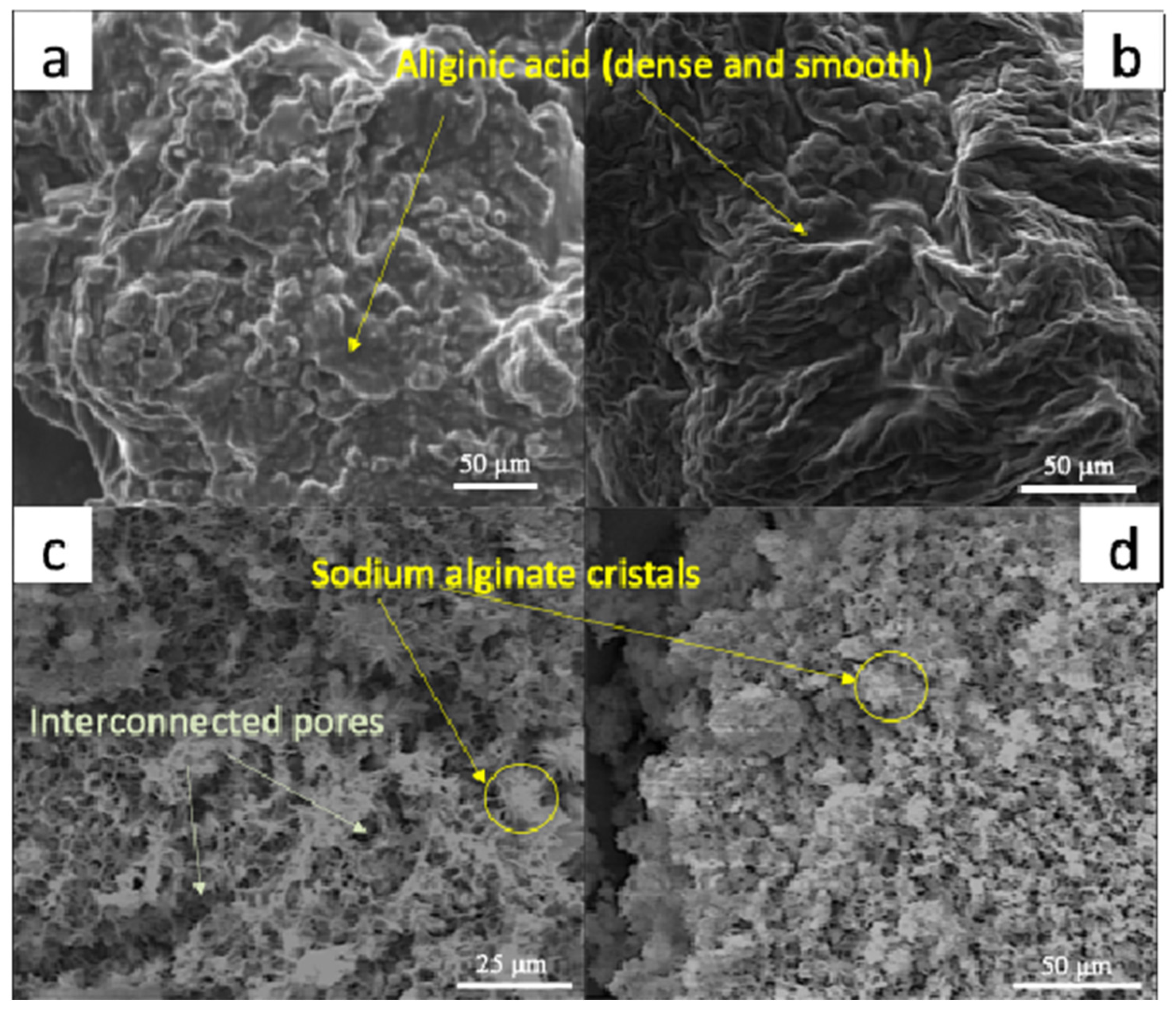 Separations 11 00226 g007