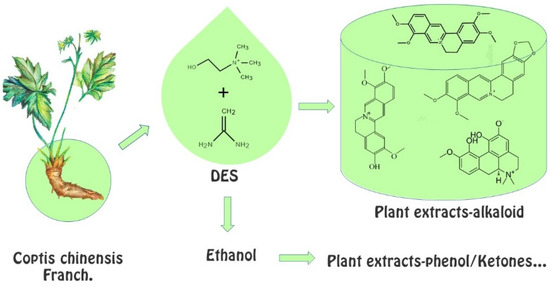An Extraction Process Based on the Collaborative Extraction of