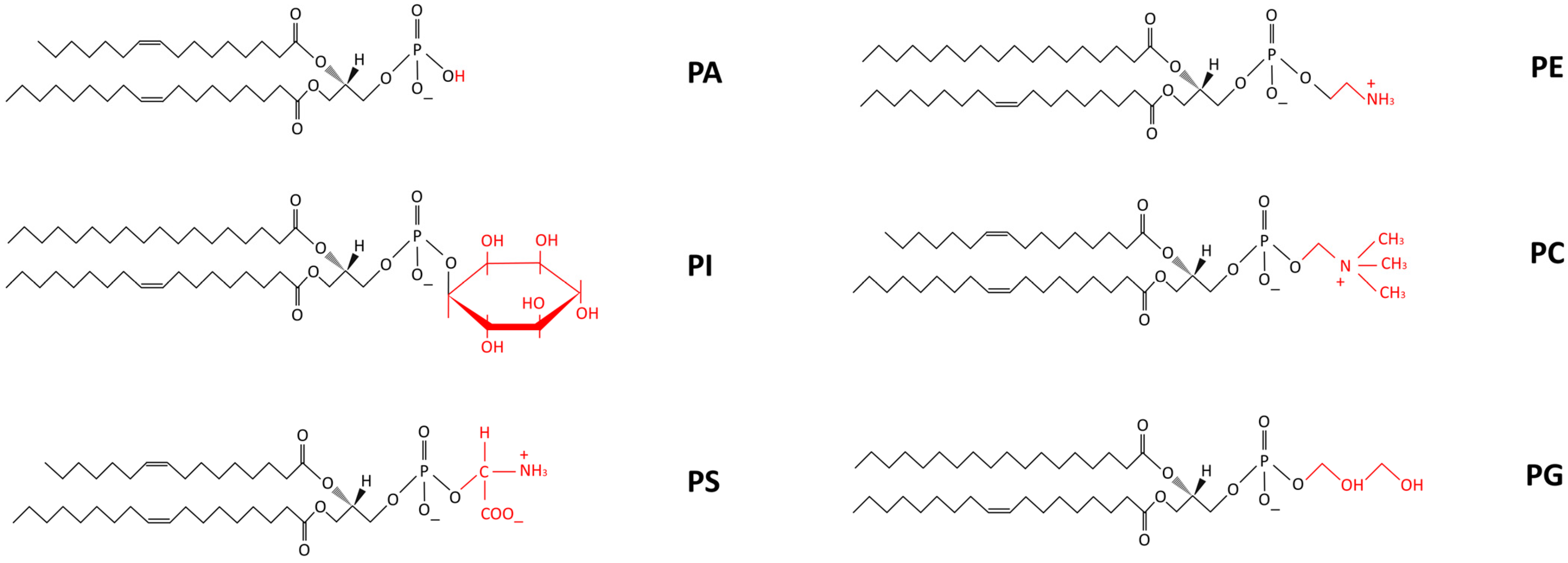 Separations 11 00262 g001 Separations 11 00262 g001