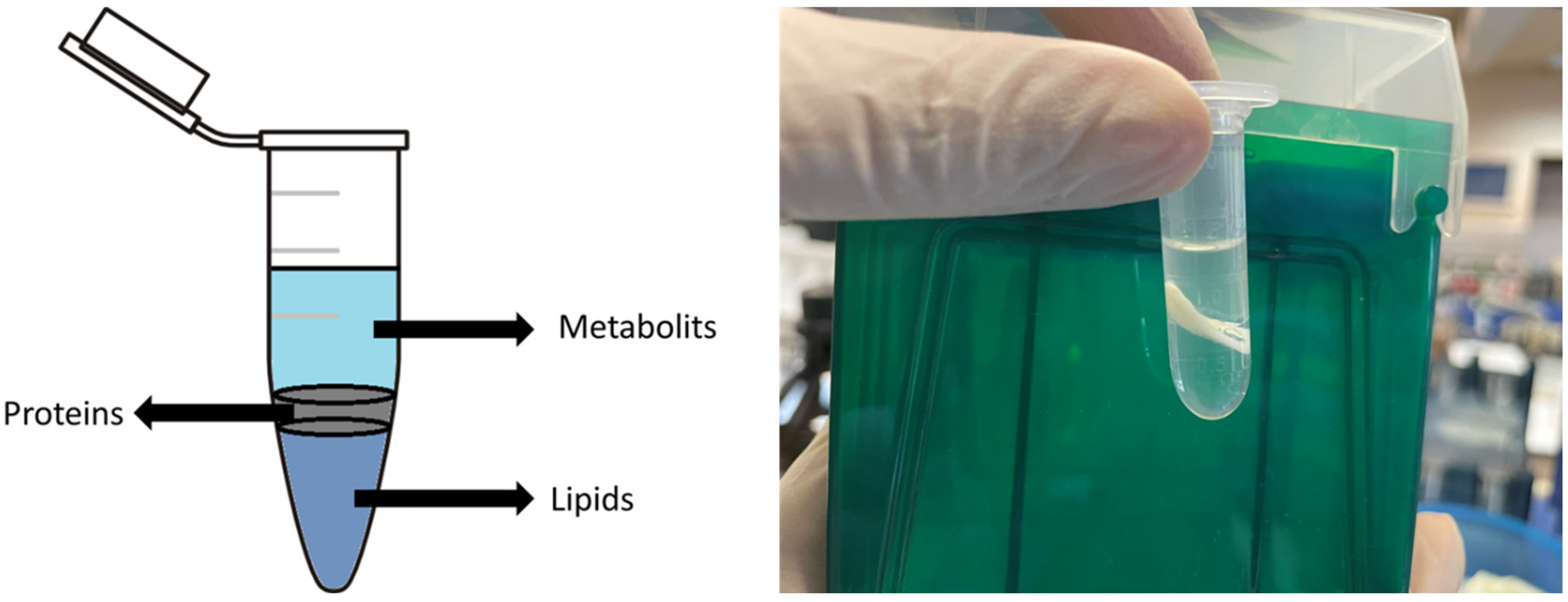 Separations 11 00262 g003 Separations 11 00262 g003