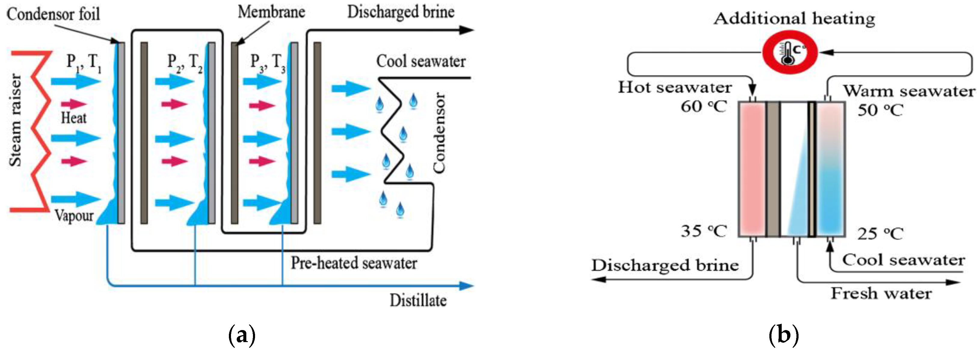 Separations 11 00291 g010
