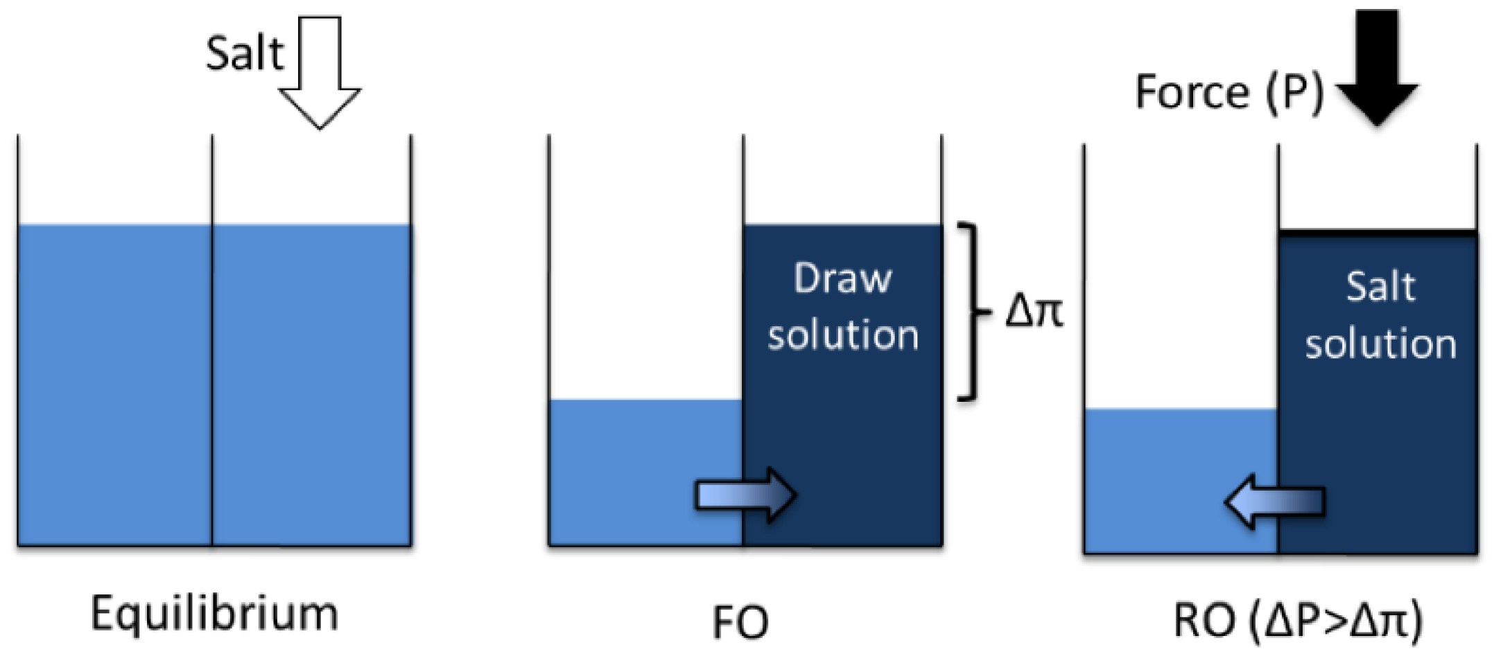 Separations 11 00291 g011