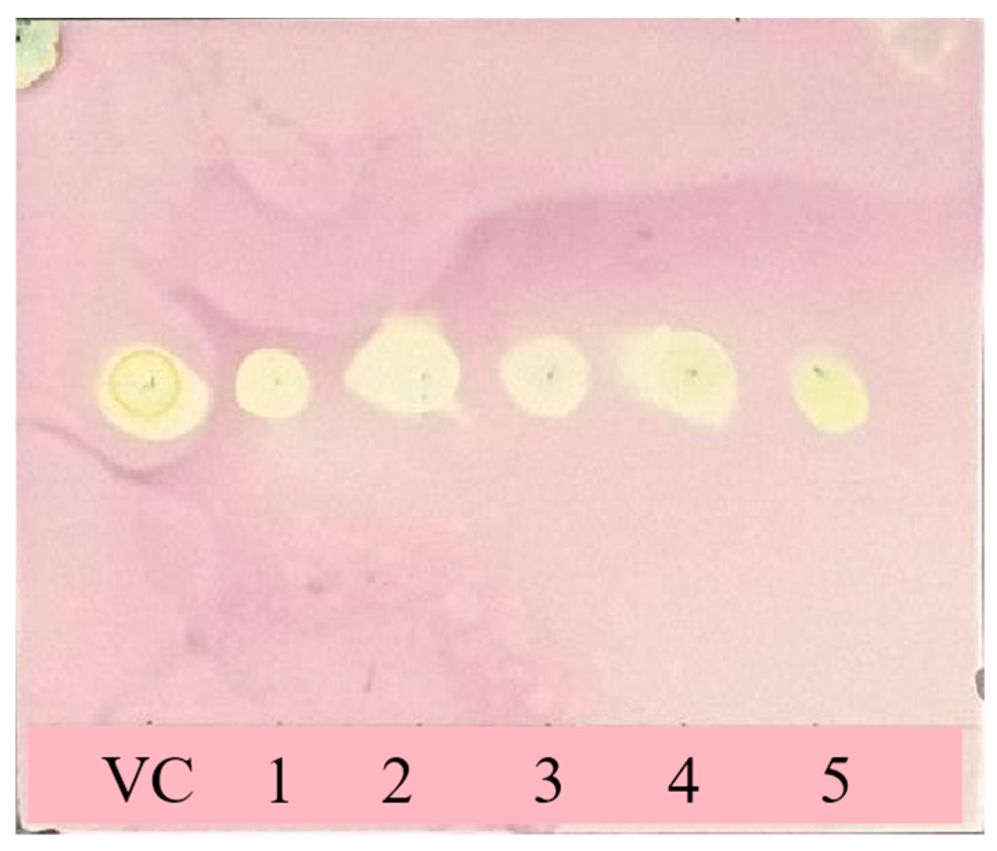 Separations 11 00311 g002