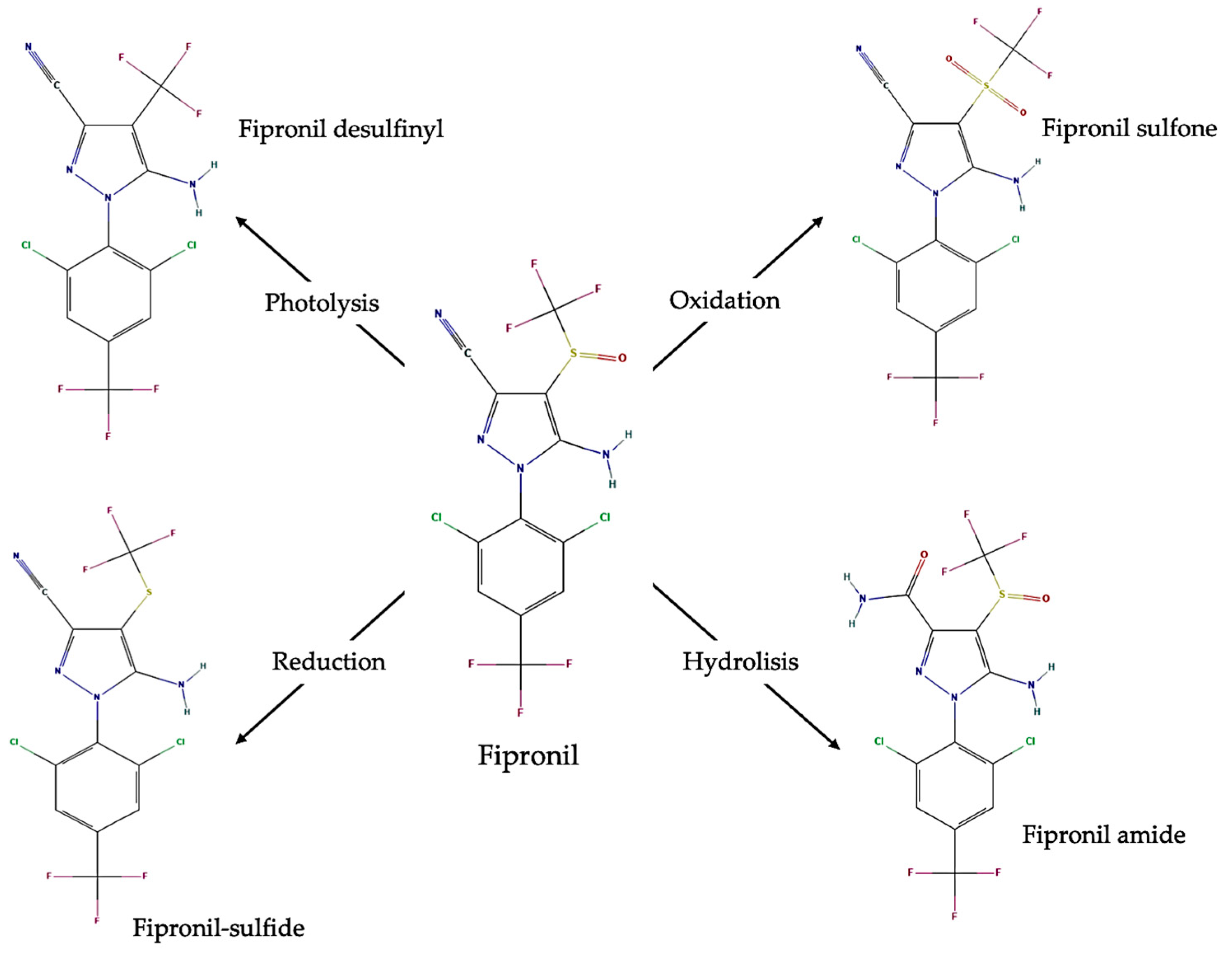 Separations 11 00317 g001