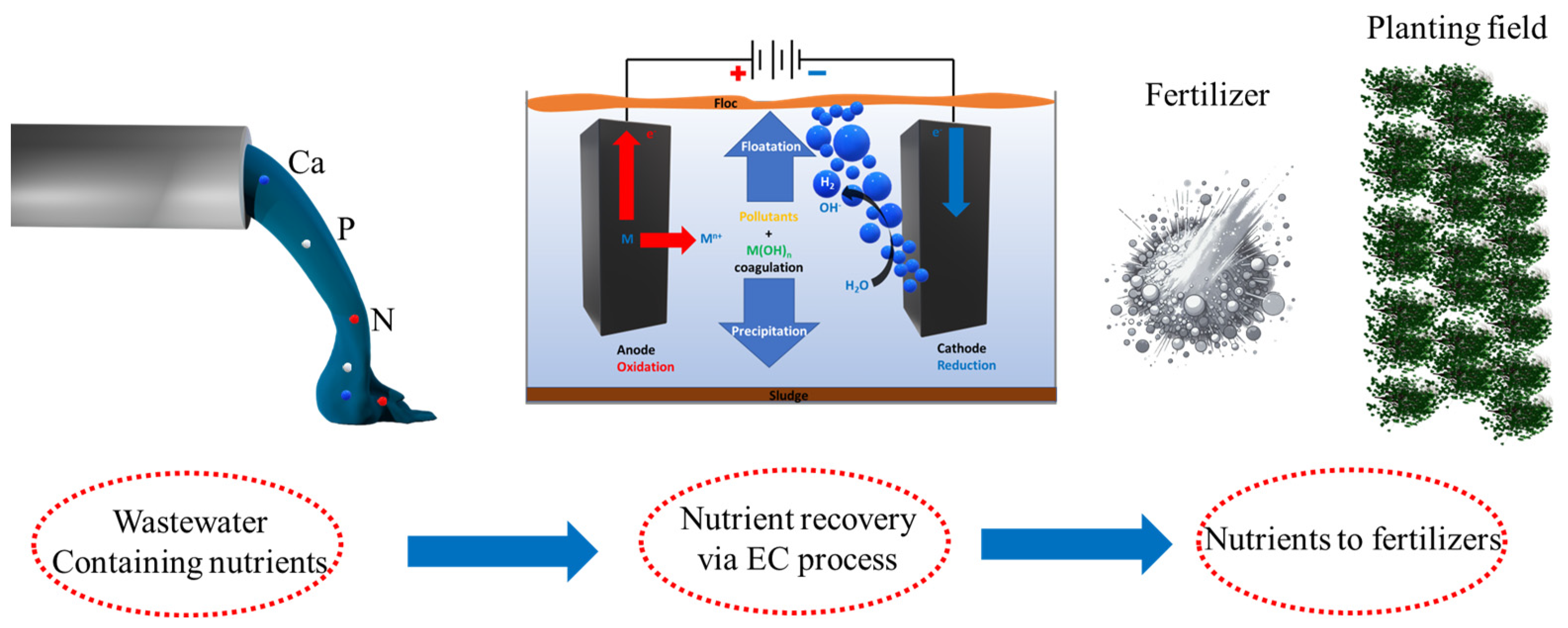 Separations 11 00320 g001