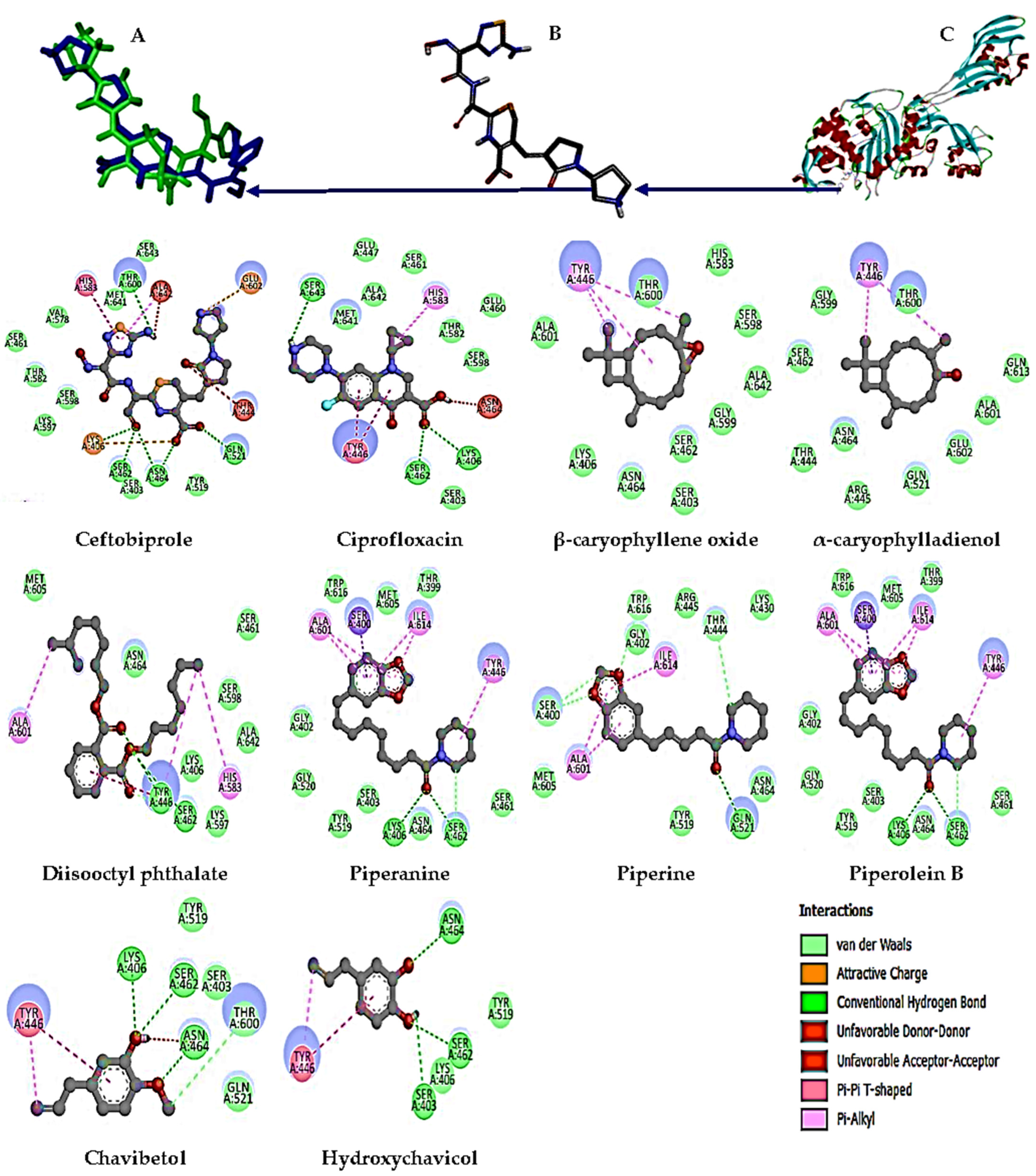 Separations 11 00322 g003