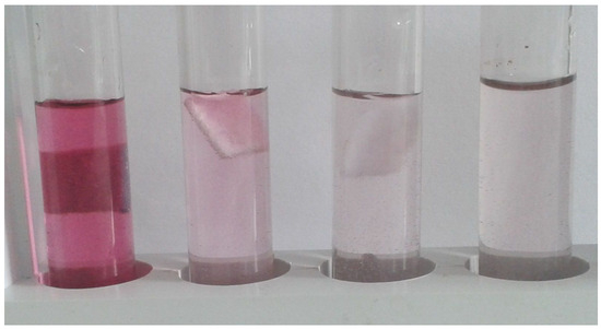Copper–Chitosan-Modified Magnetic Textile as a Peroxidase