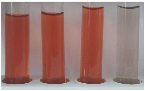 Copper–Chitosan-Modified Magnetic Textile as a Peroxidase