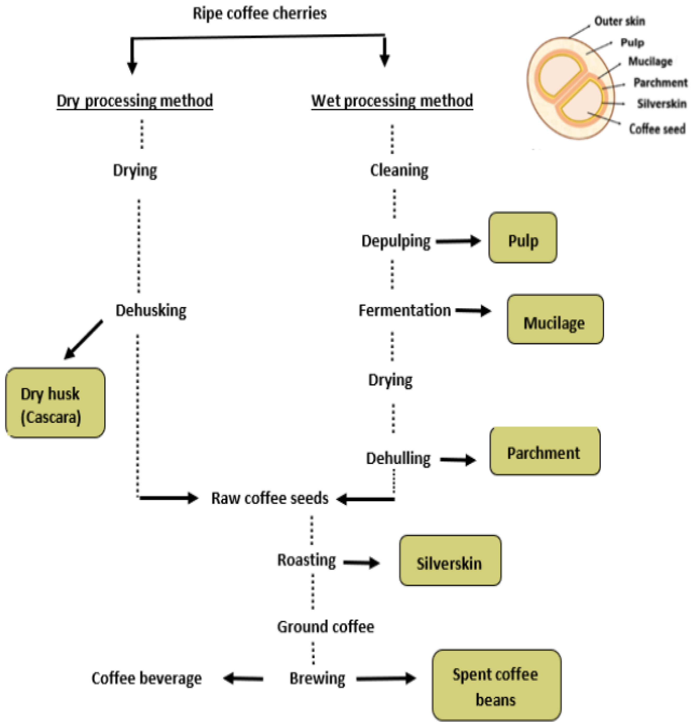 Separations 11 00334 g001