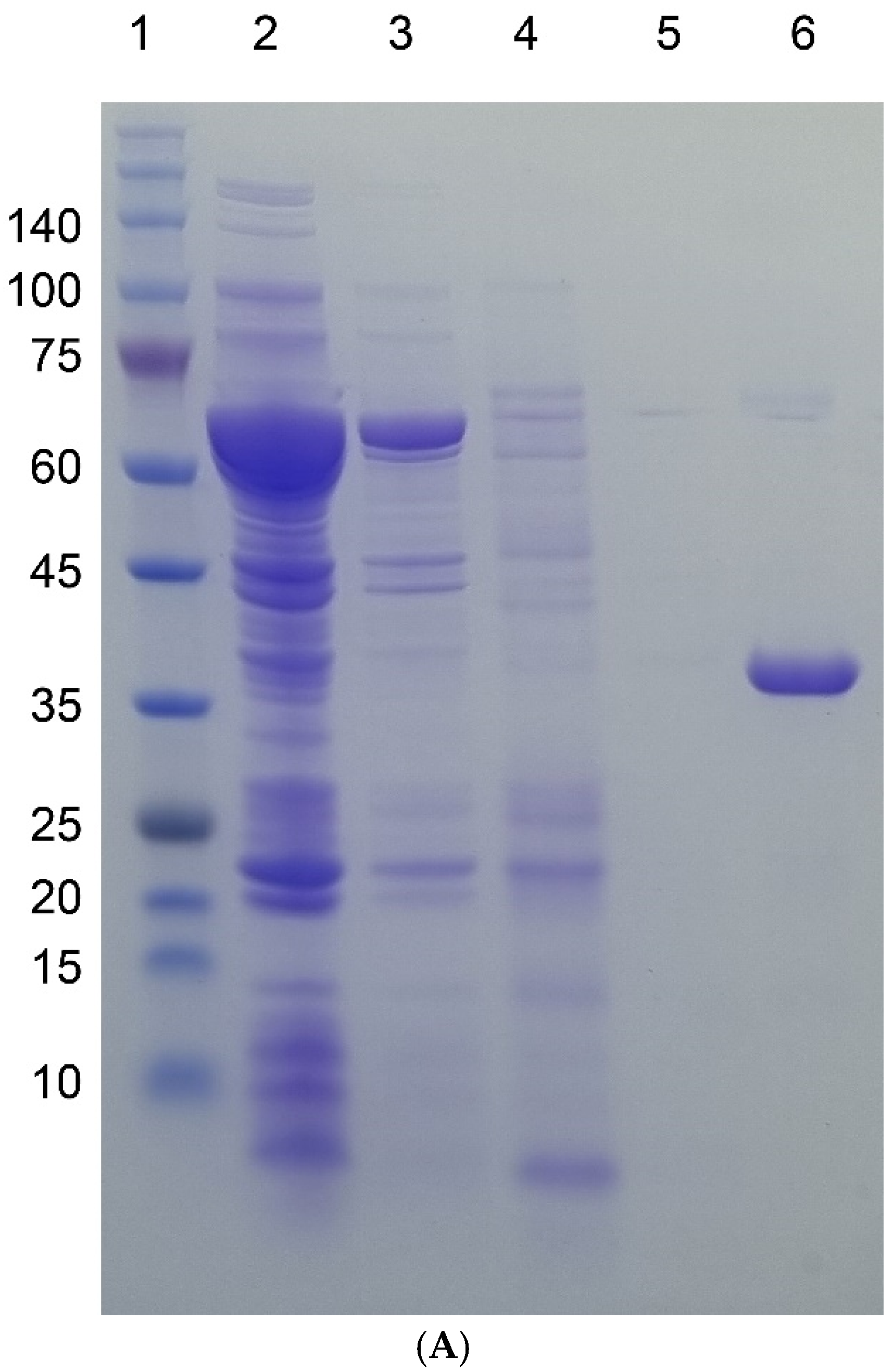 Separations 11 00335 g002a
