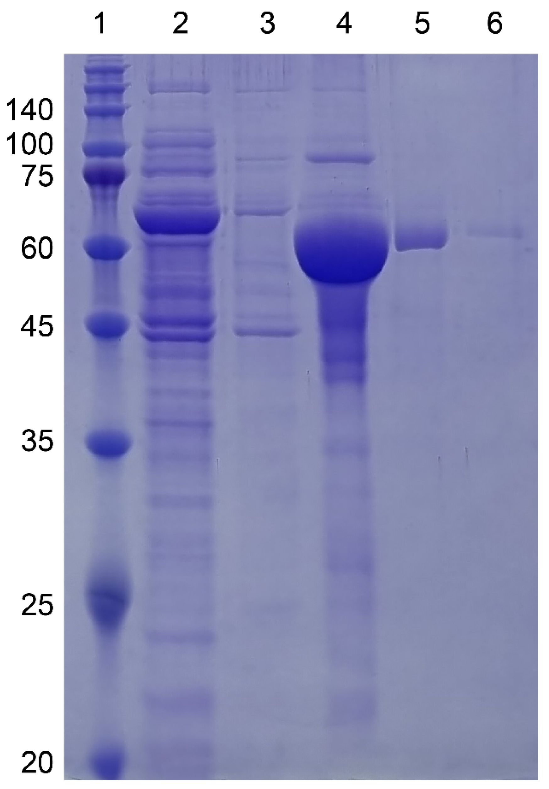 Separations 11 00335 g003