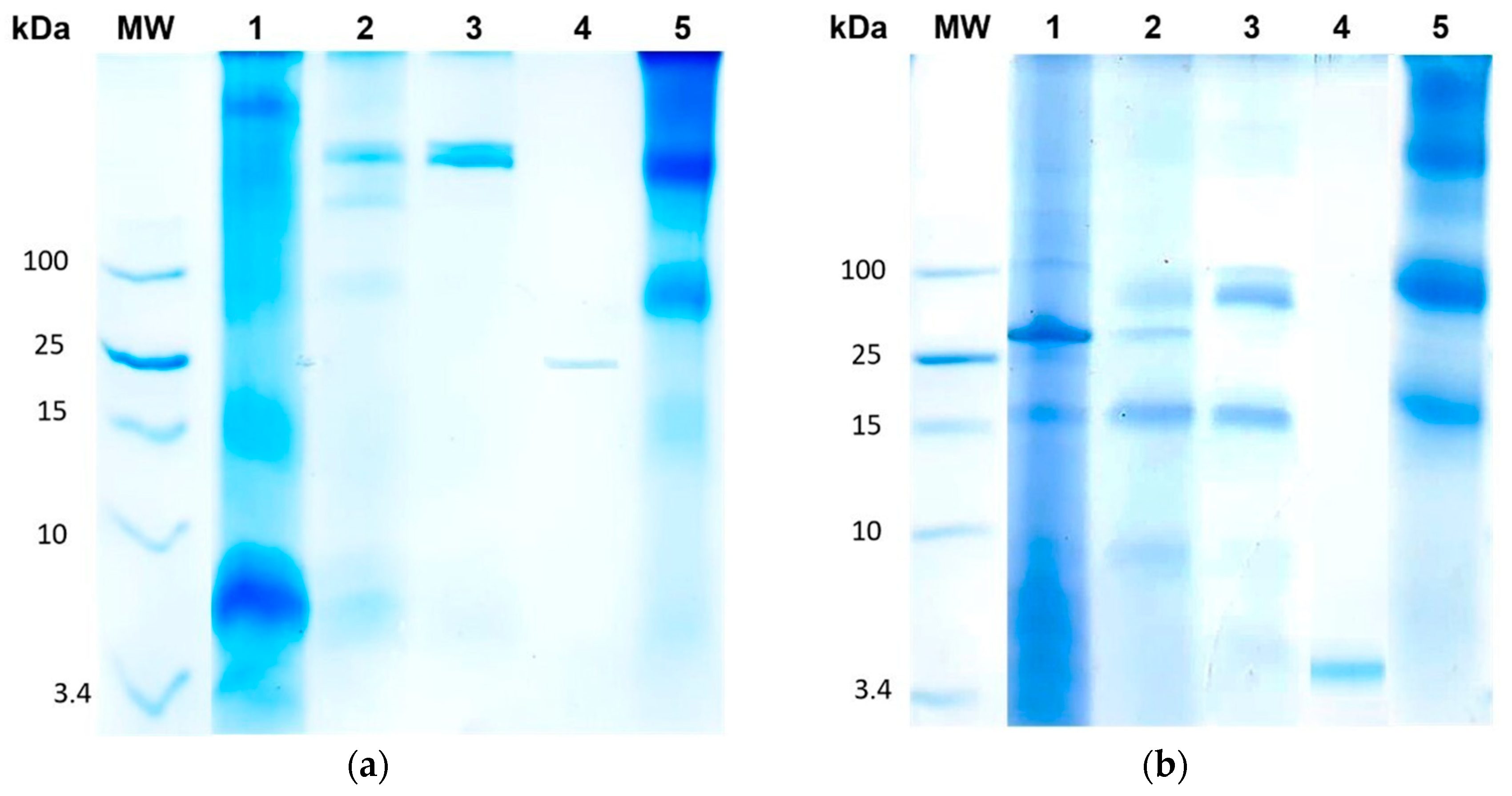 Separations 11 00350 g002