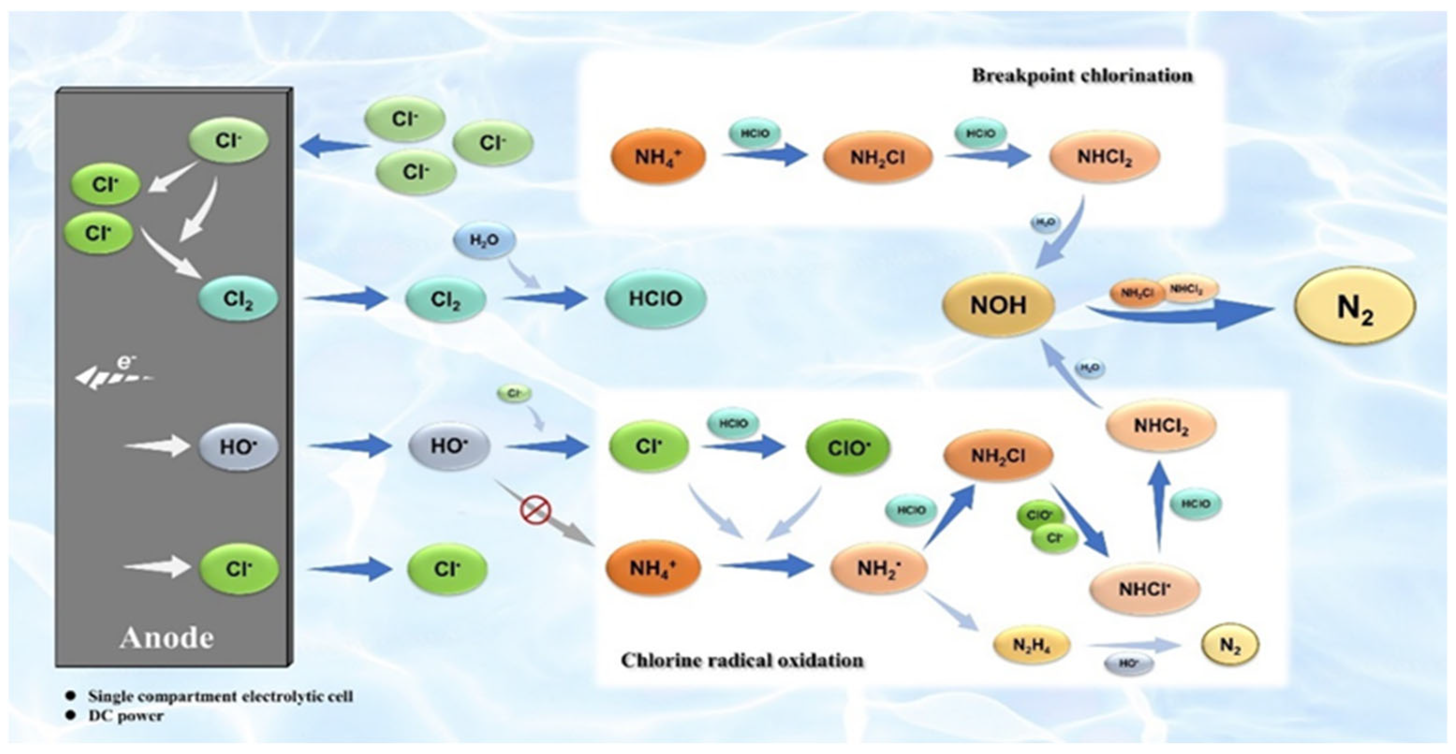Separations 11 00353 g003