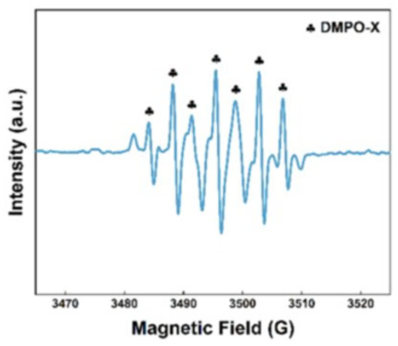 Separations 11 00353 g005