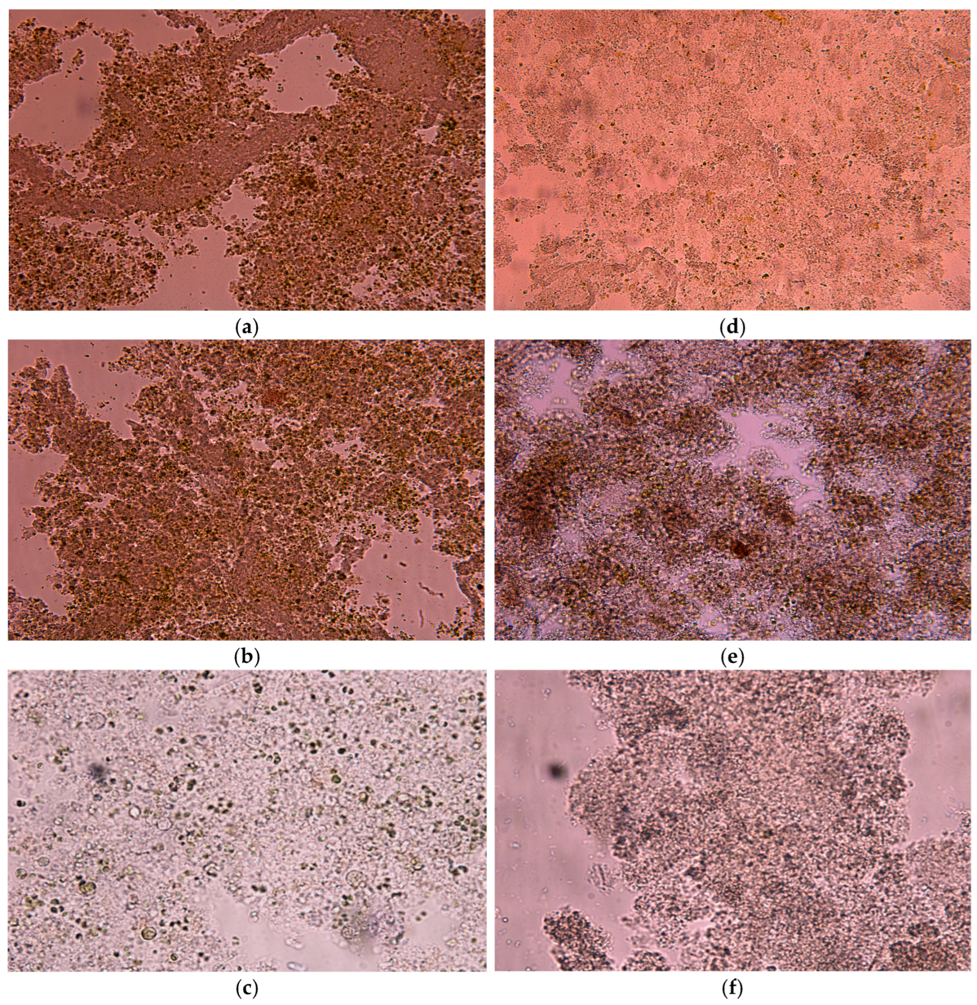 Separations 11 00355 g002