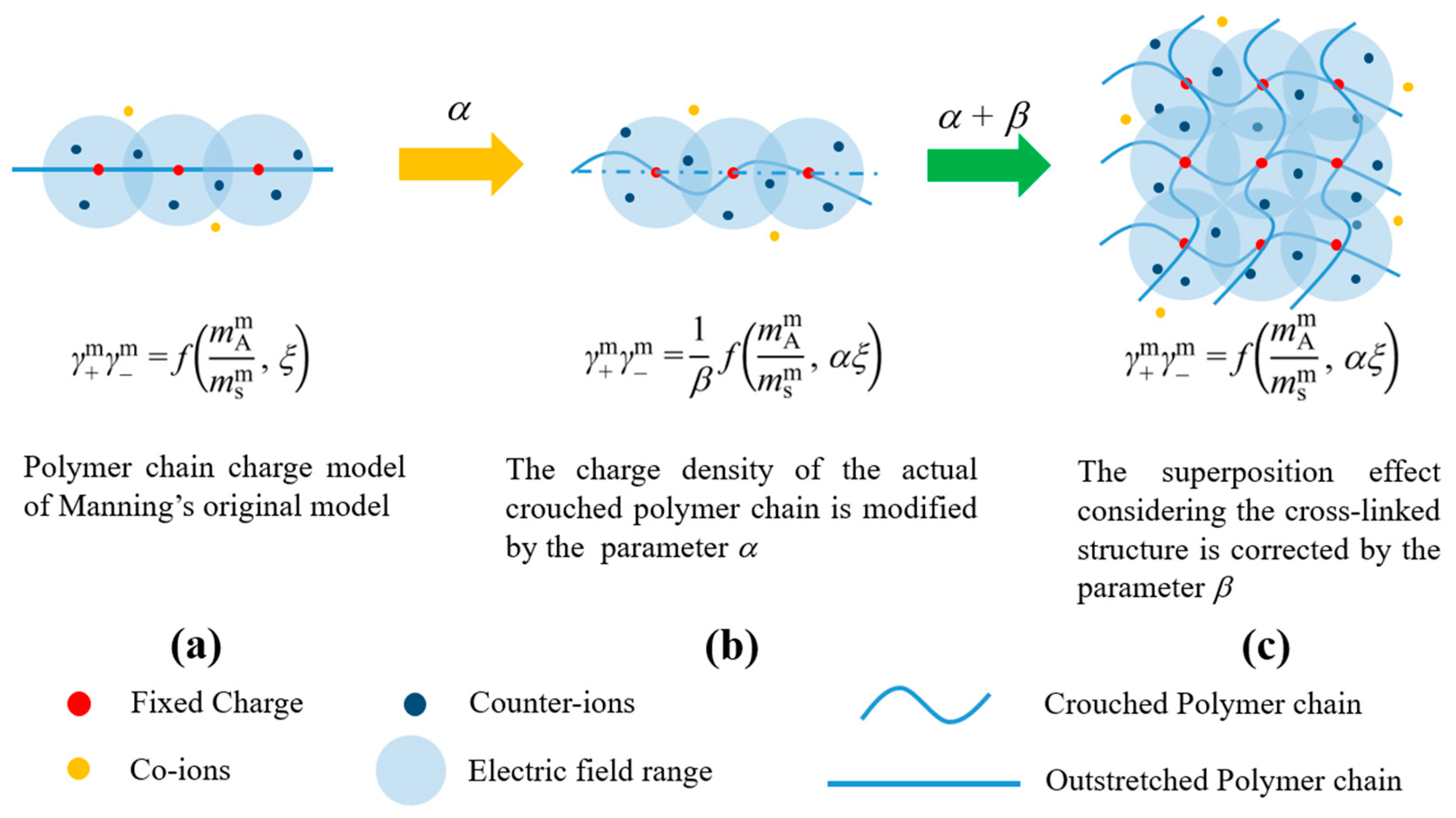 Ion Activity Coefficient of Sodium Halides in Anion-Exchange Polymers ...