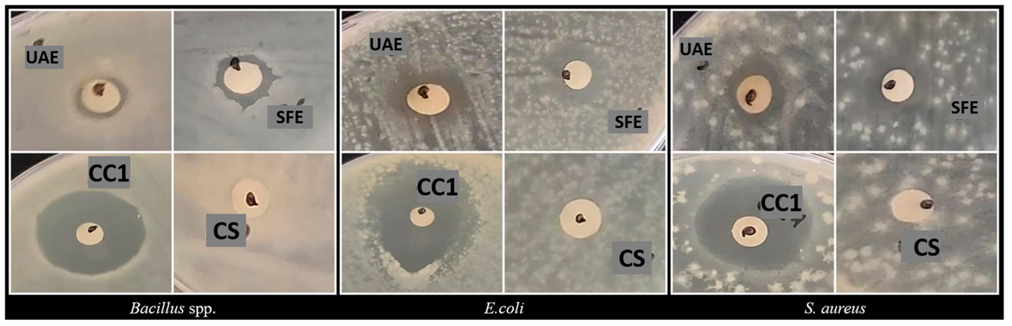 Separations 12 00008 g002 Separations 12 00008 g002