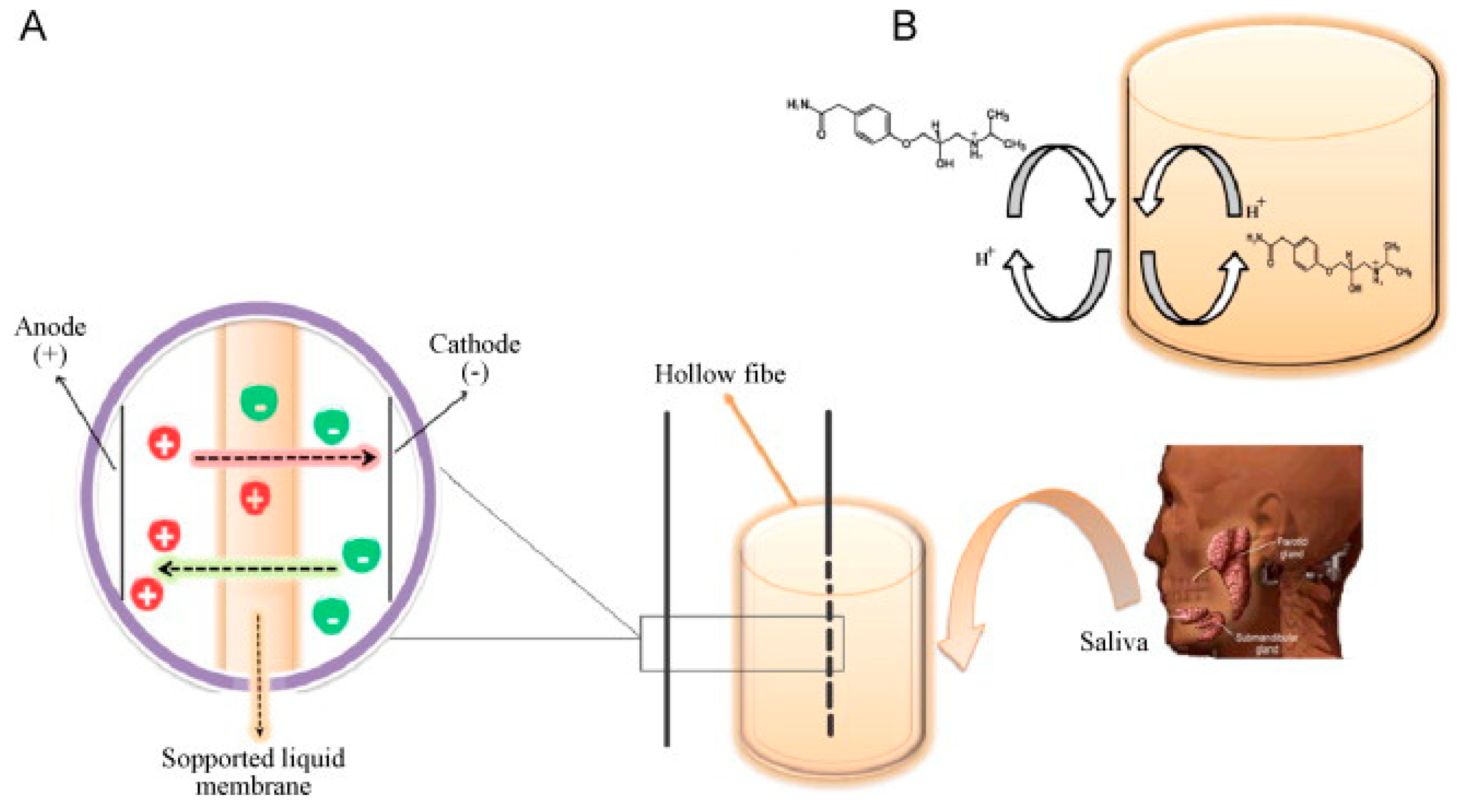Separations 12 00014 g003