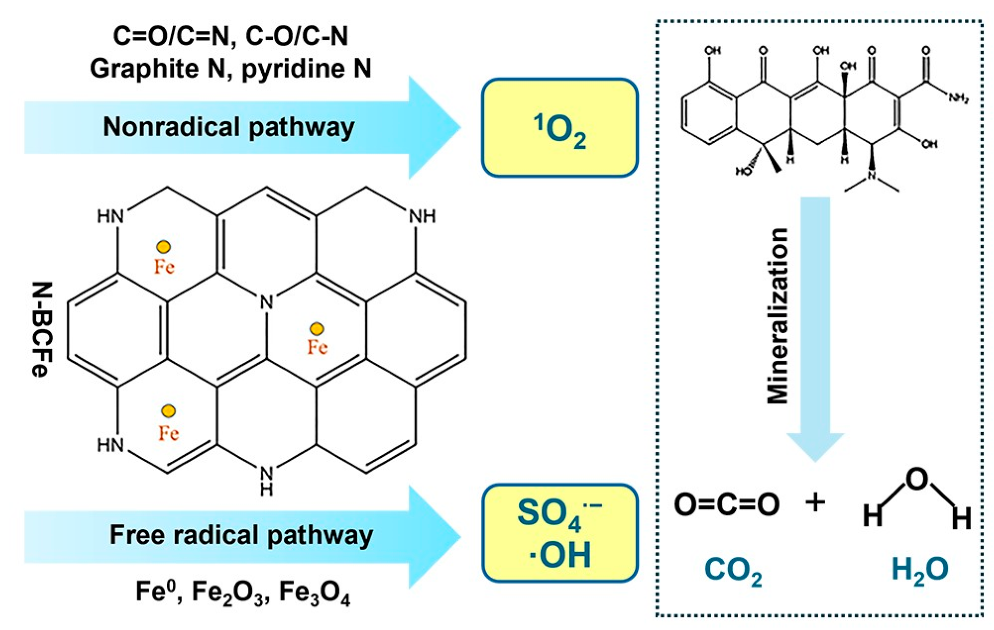 Fabrications and Properties of Heteroatom-Based Co-Doped