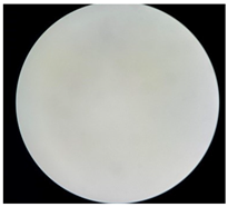 Separations 12 00028 i003