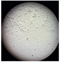 Separations 12 00028 i013