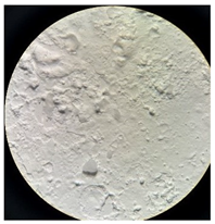 Separations 12 00028 i014