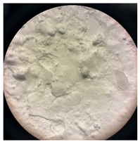 Separations 12 00028 i016