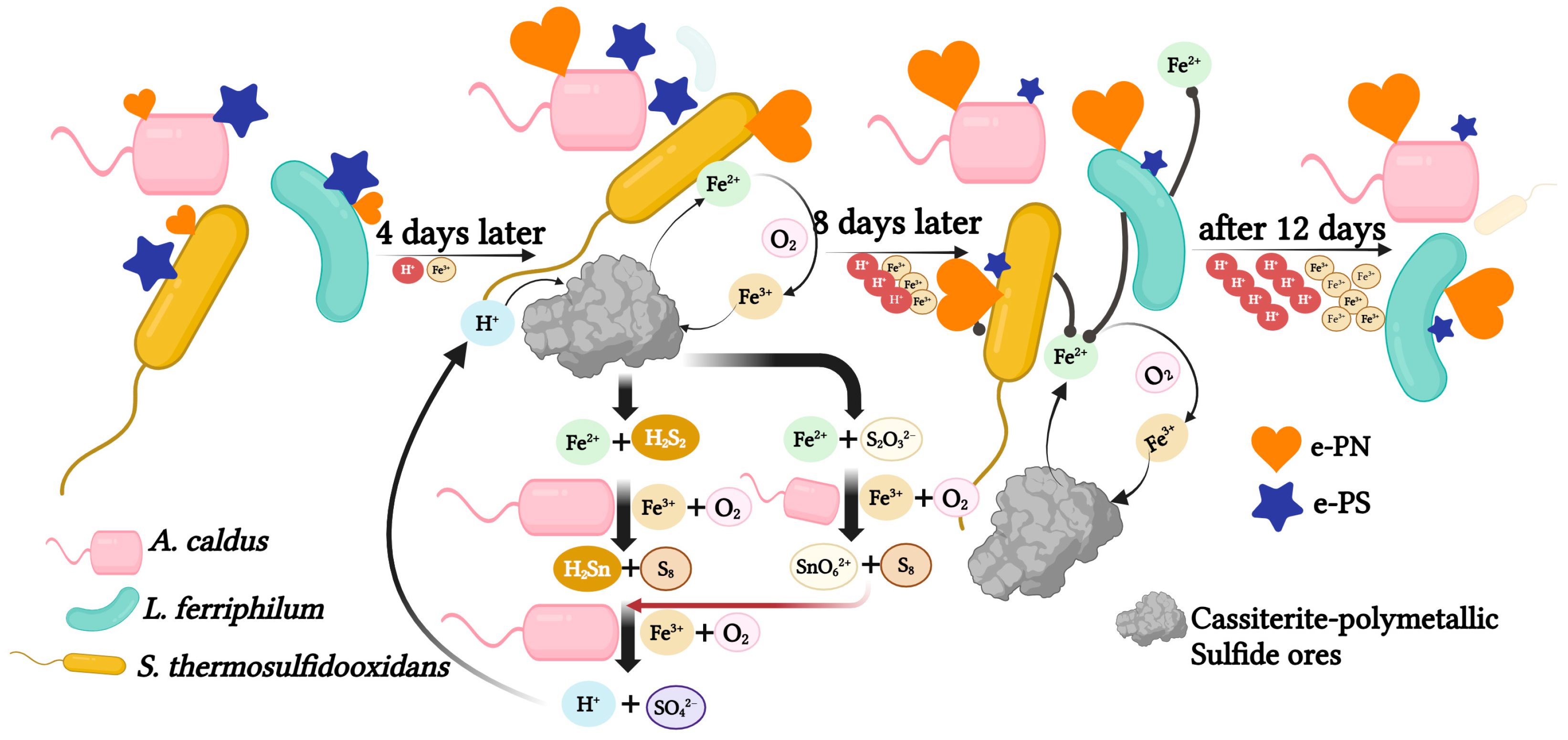 Separations 12 00061 g007