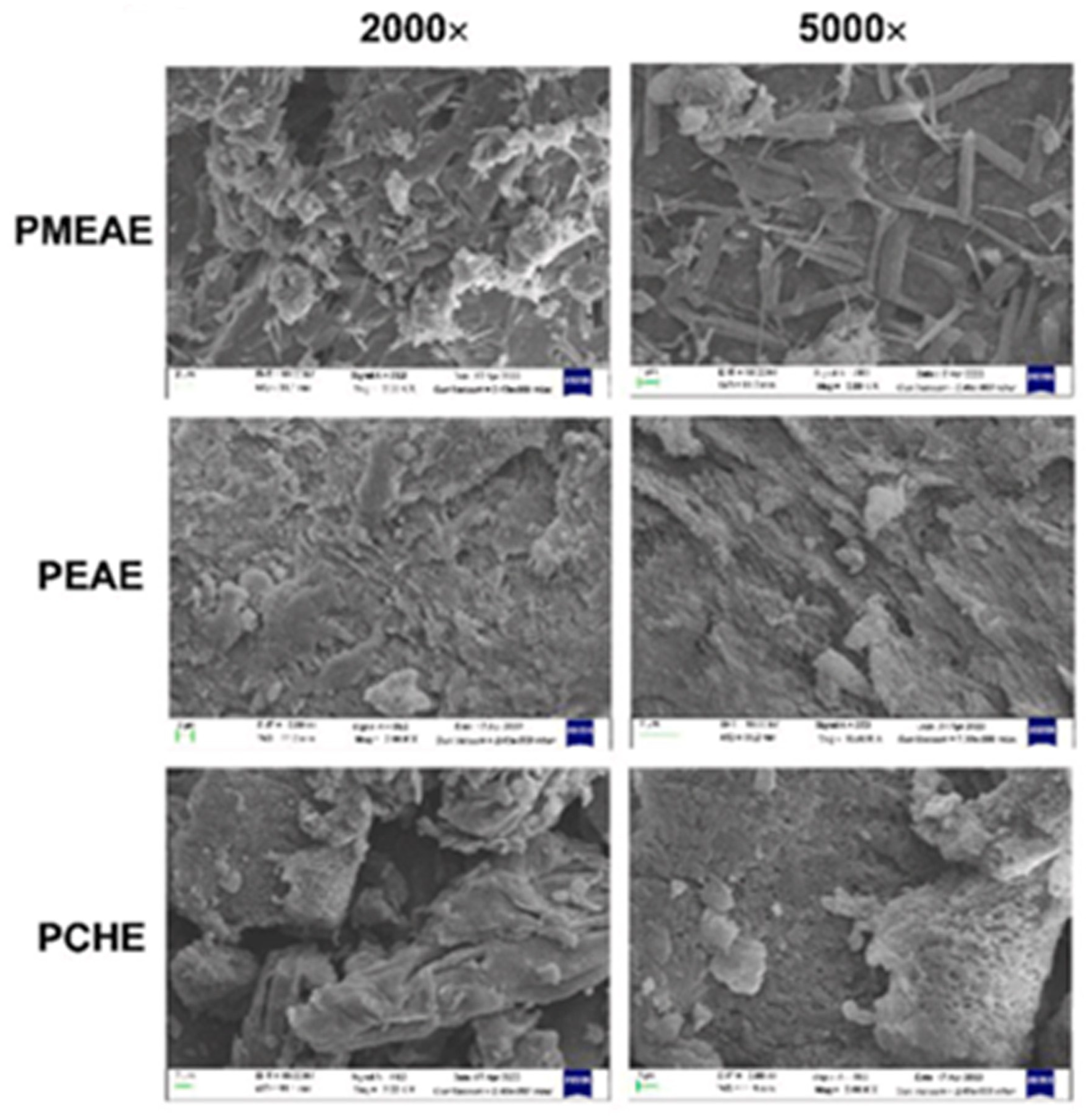 Separations 12 00065 g003