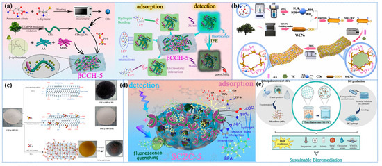 Sustainable and Efficient Wastewater Treatment Using Cellulose