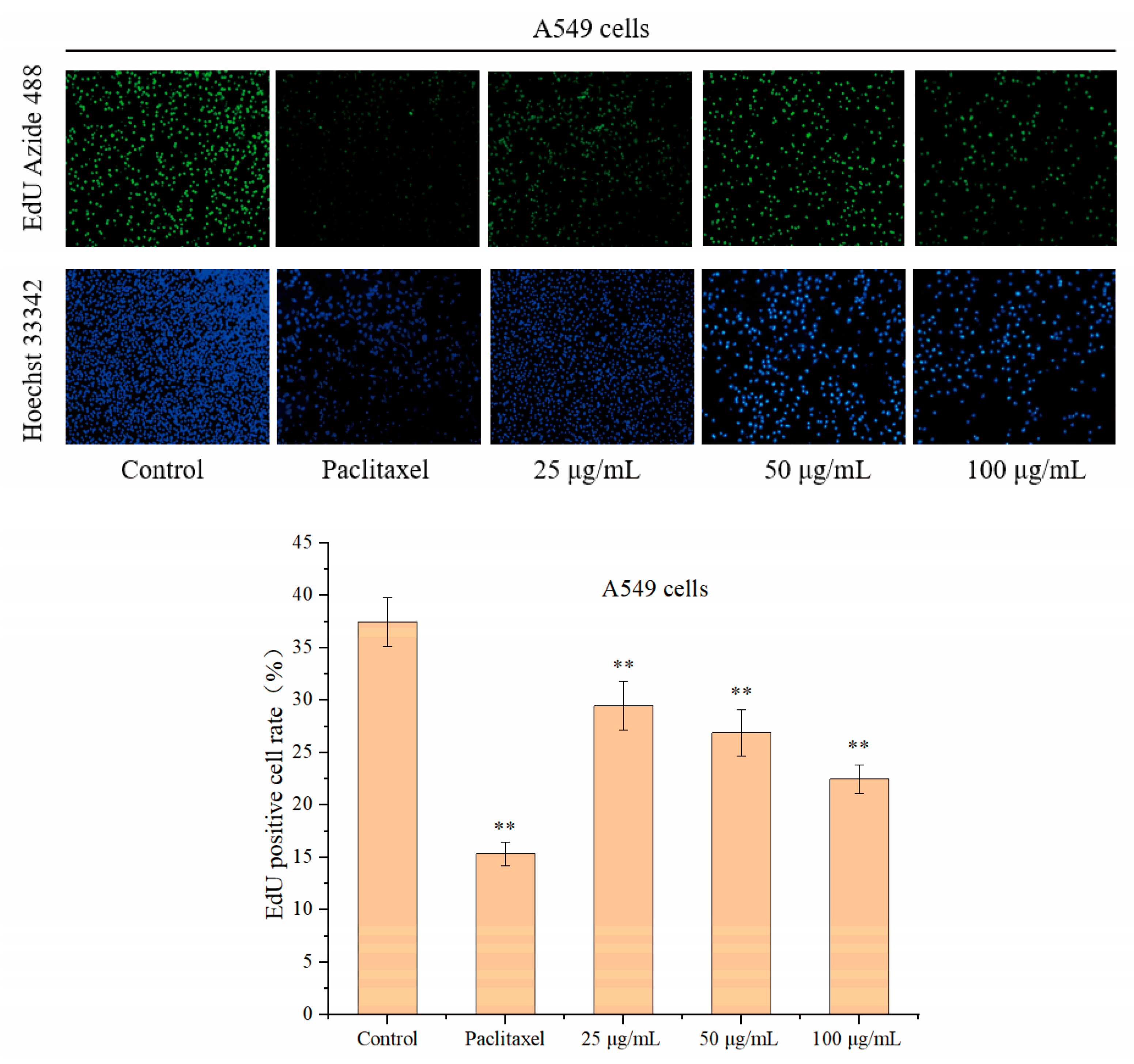 Separations 12 00077 g005