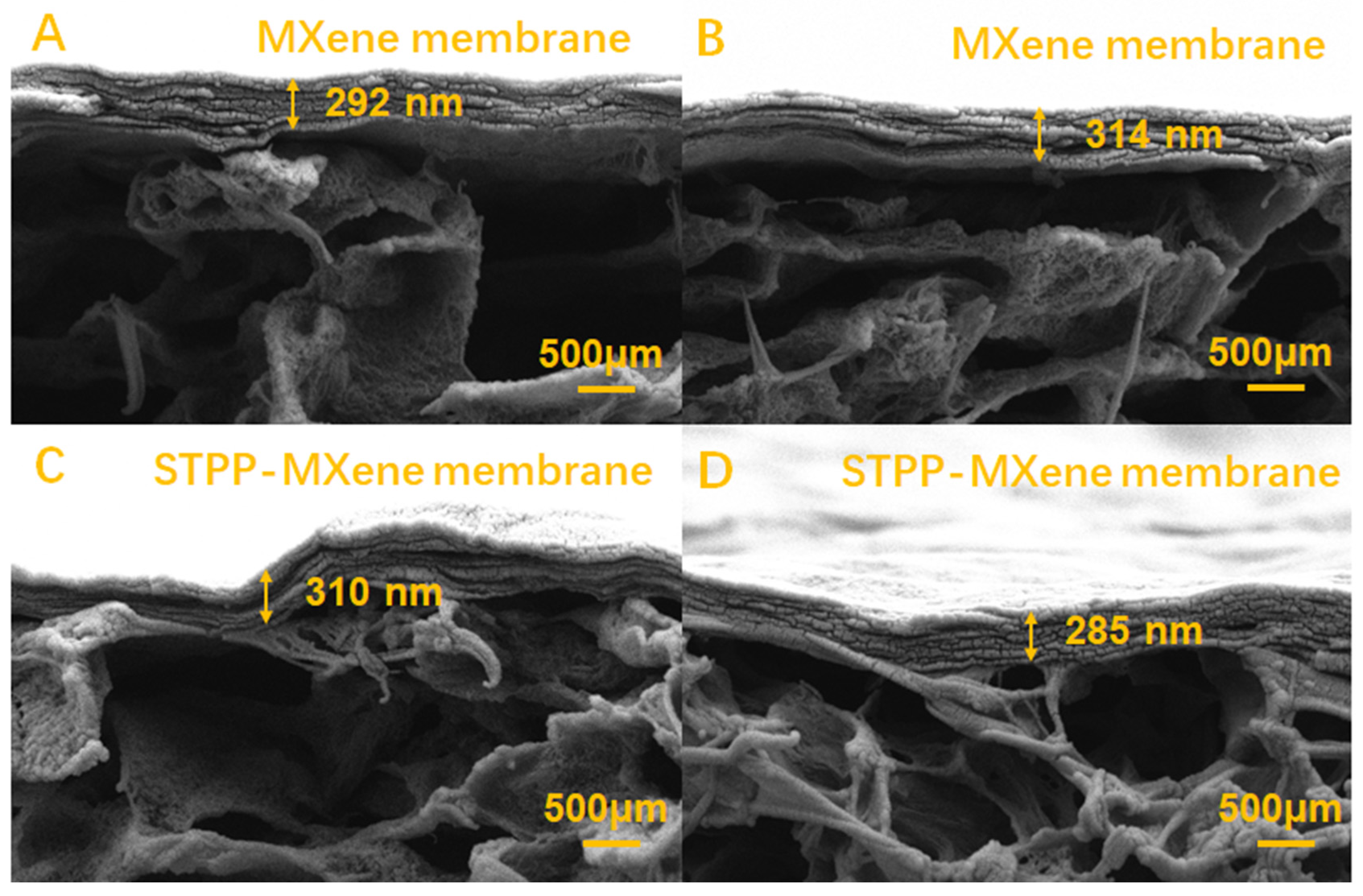 Separations 12 00078 g003