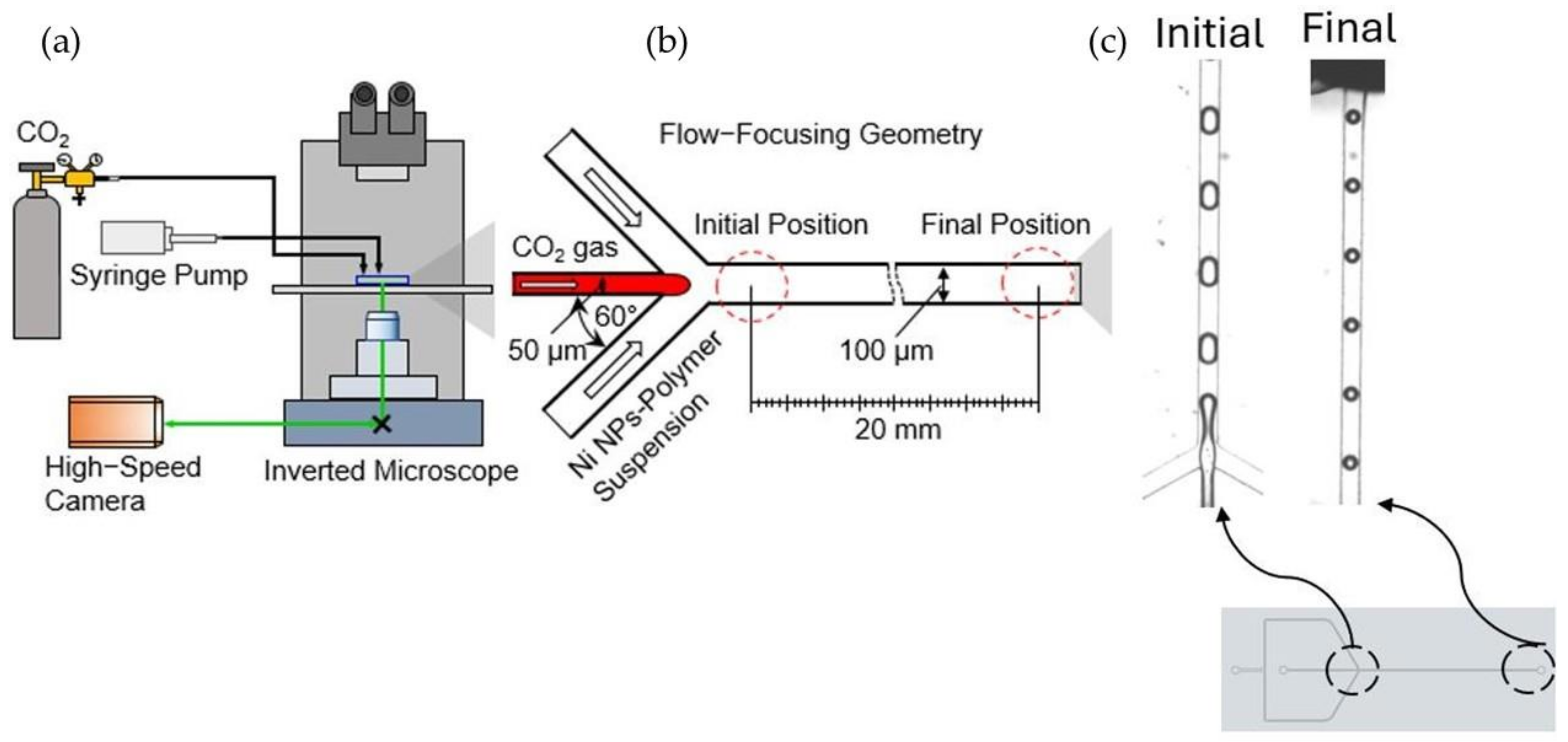 Separations 12 00107 g001