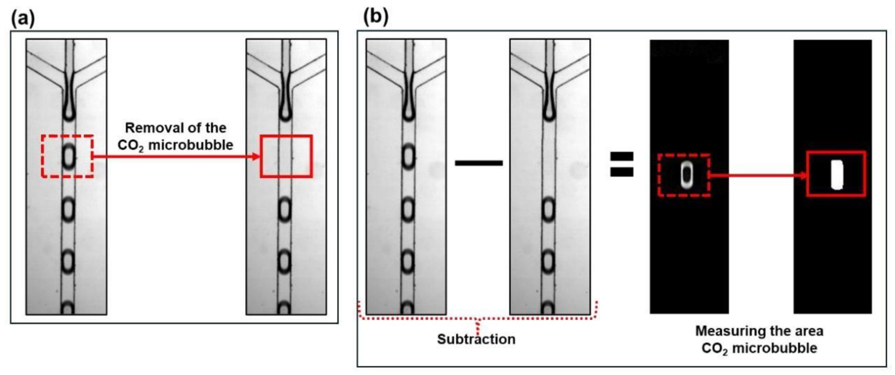 Separations 12 00107 g002