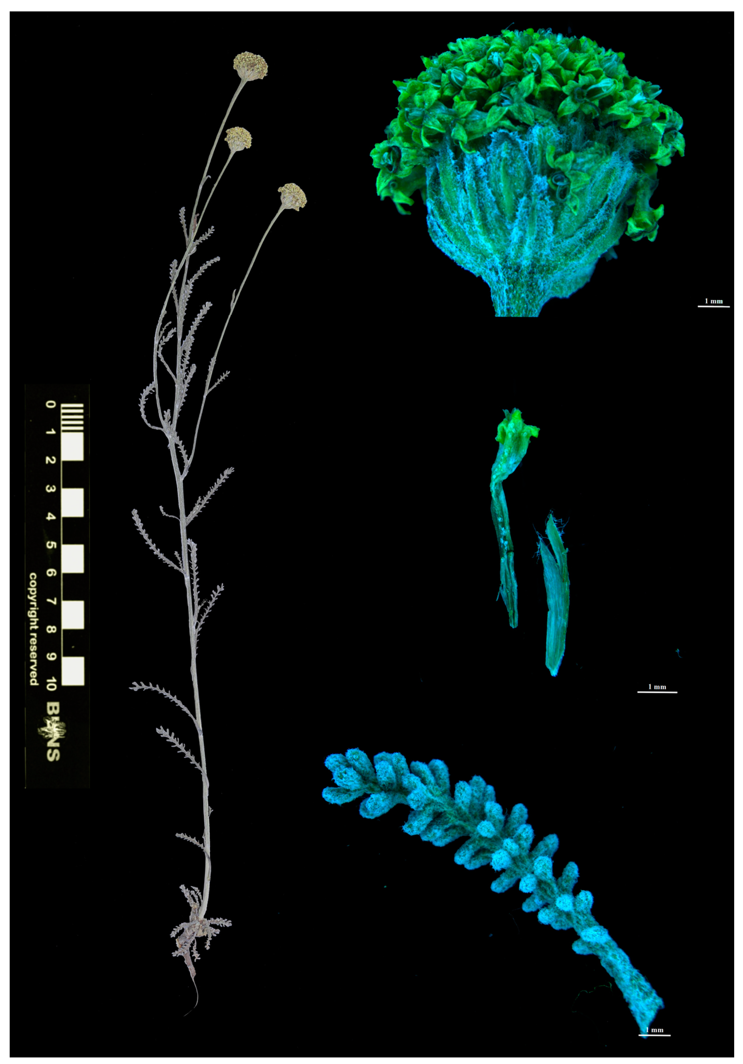 Separations 12 00115 g001 Separations 12 00115 g001
