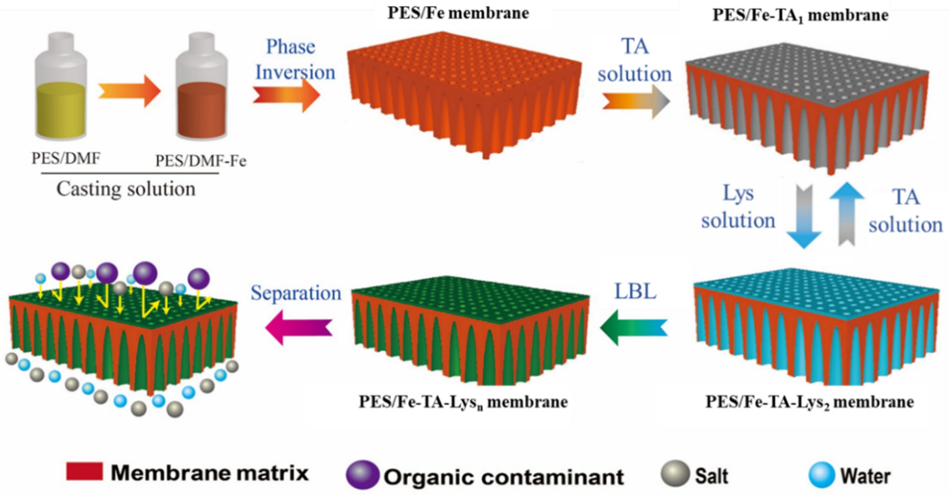 Separations 12 00129 g001