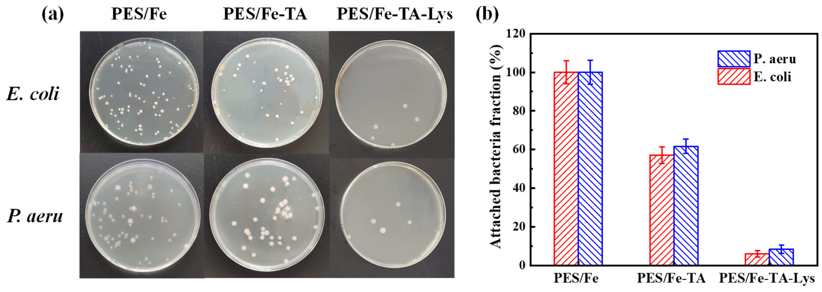 Separations 12 00129 g012