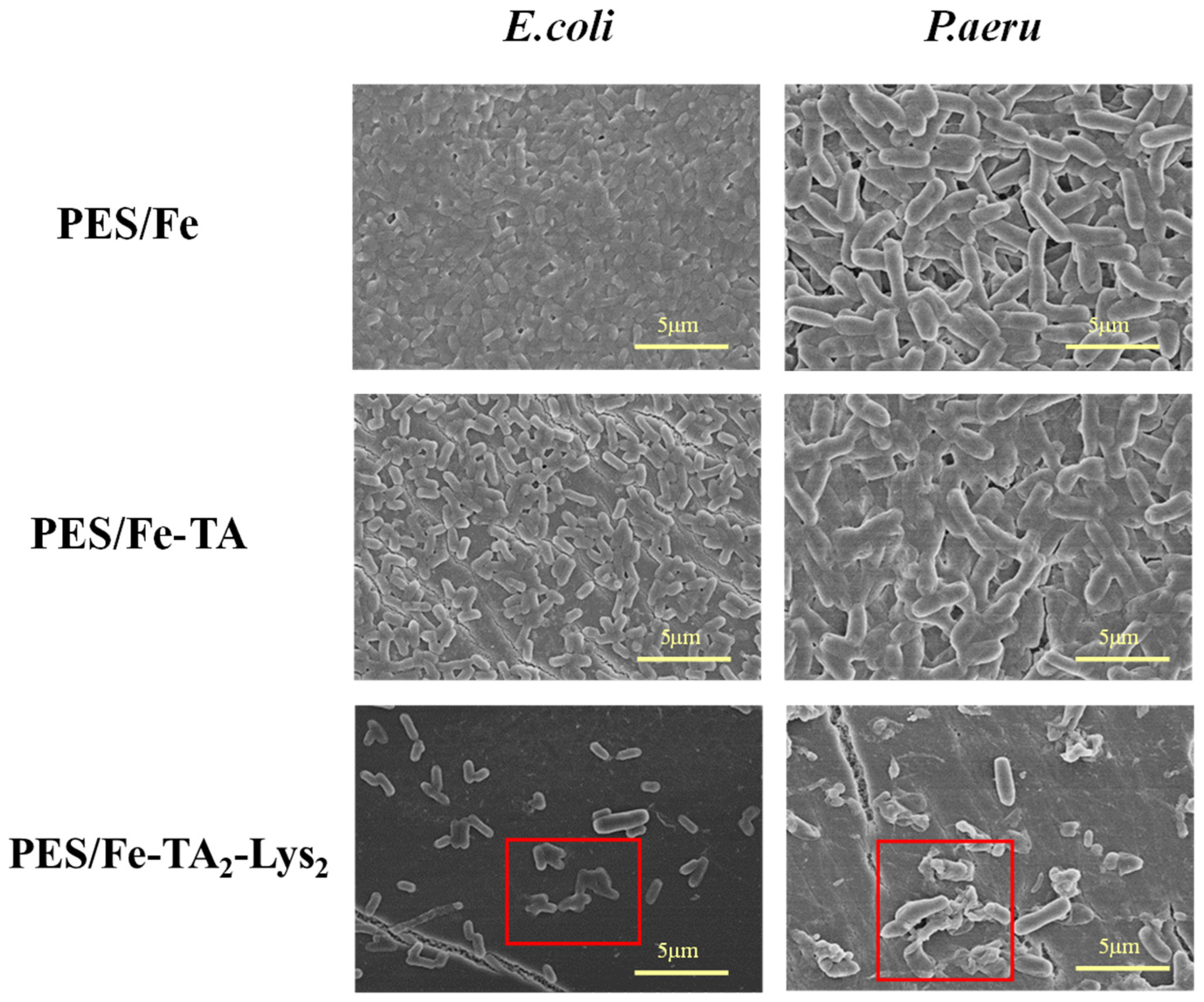 Separations 12 00129 g013