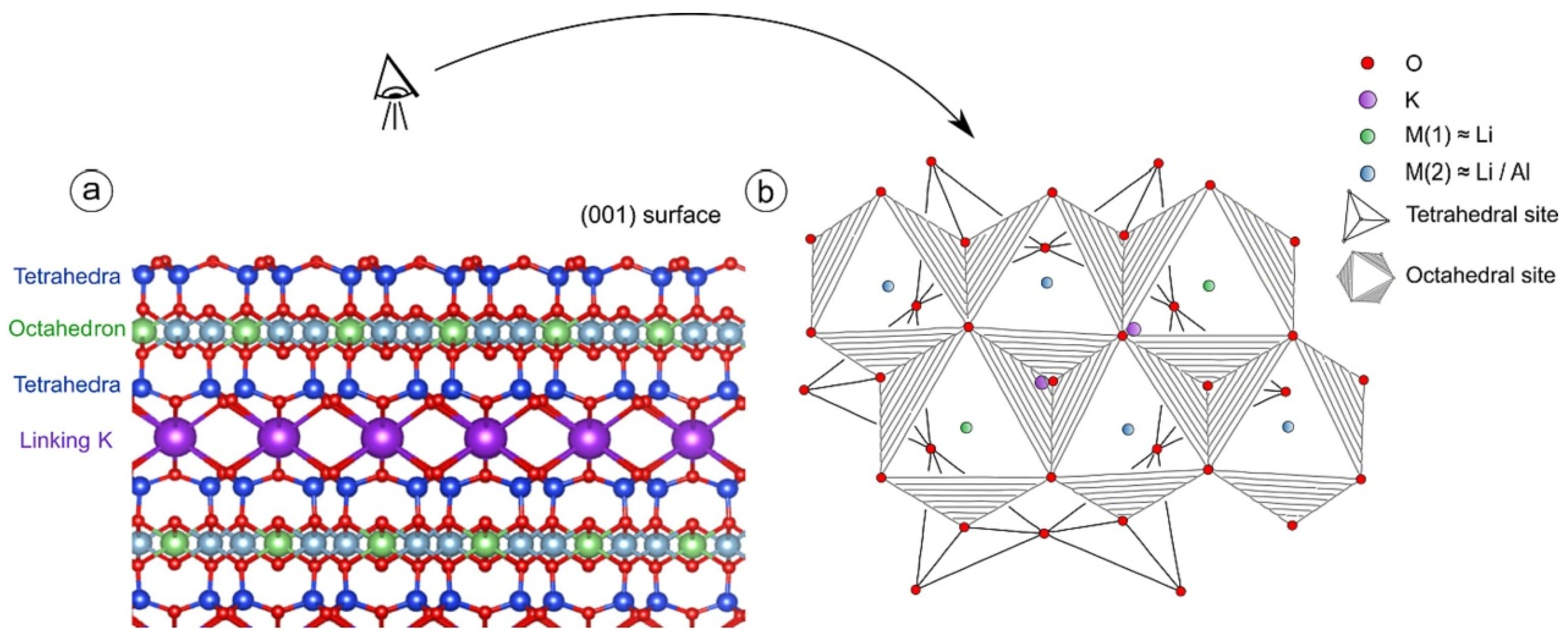 Separations 12 00130 g005